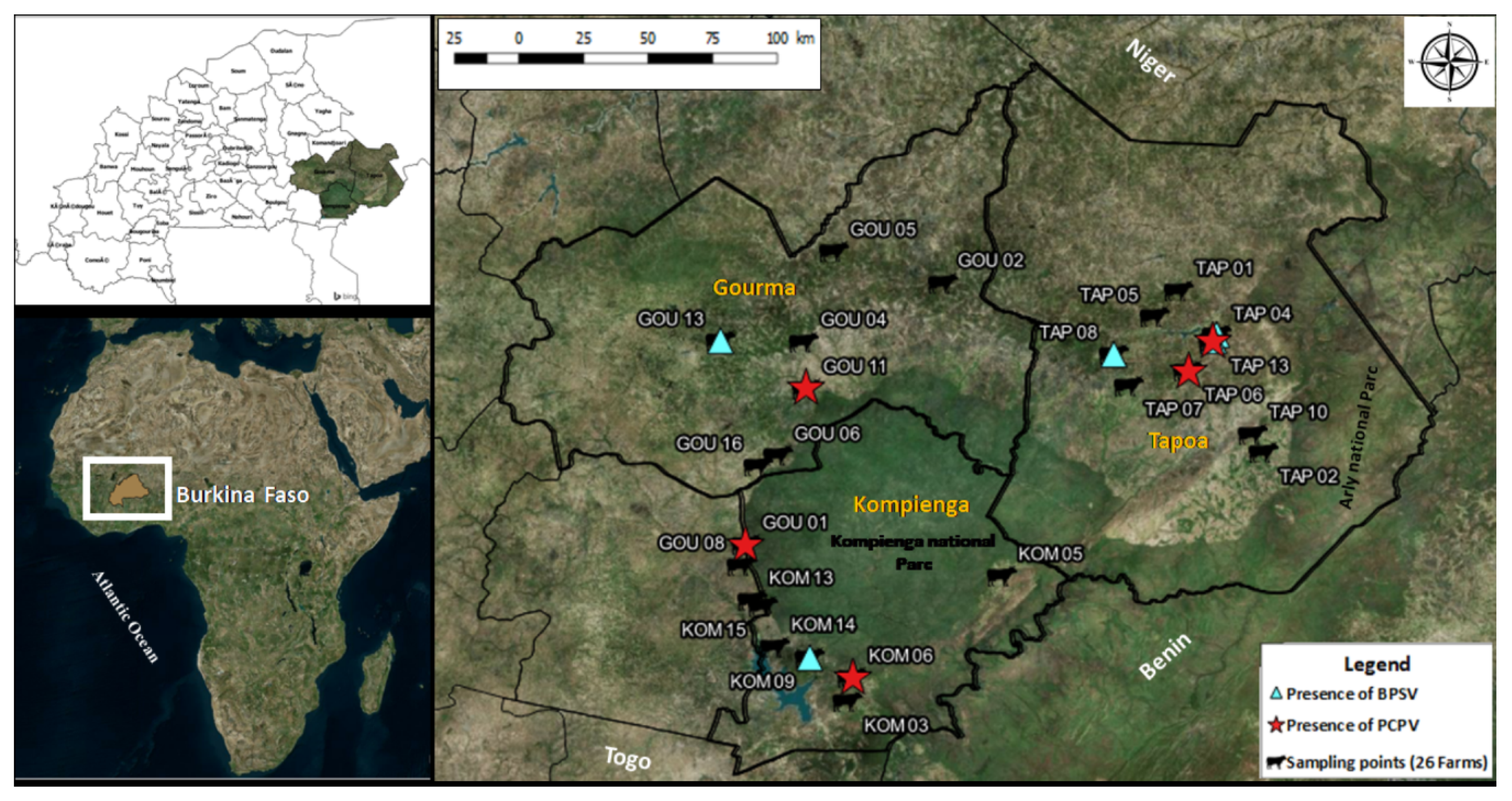 Microorganisms 08 00644 g001 Microorganisms 08 00644 g001