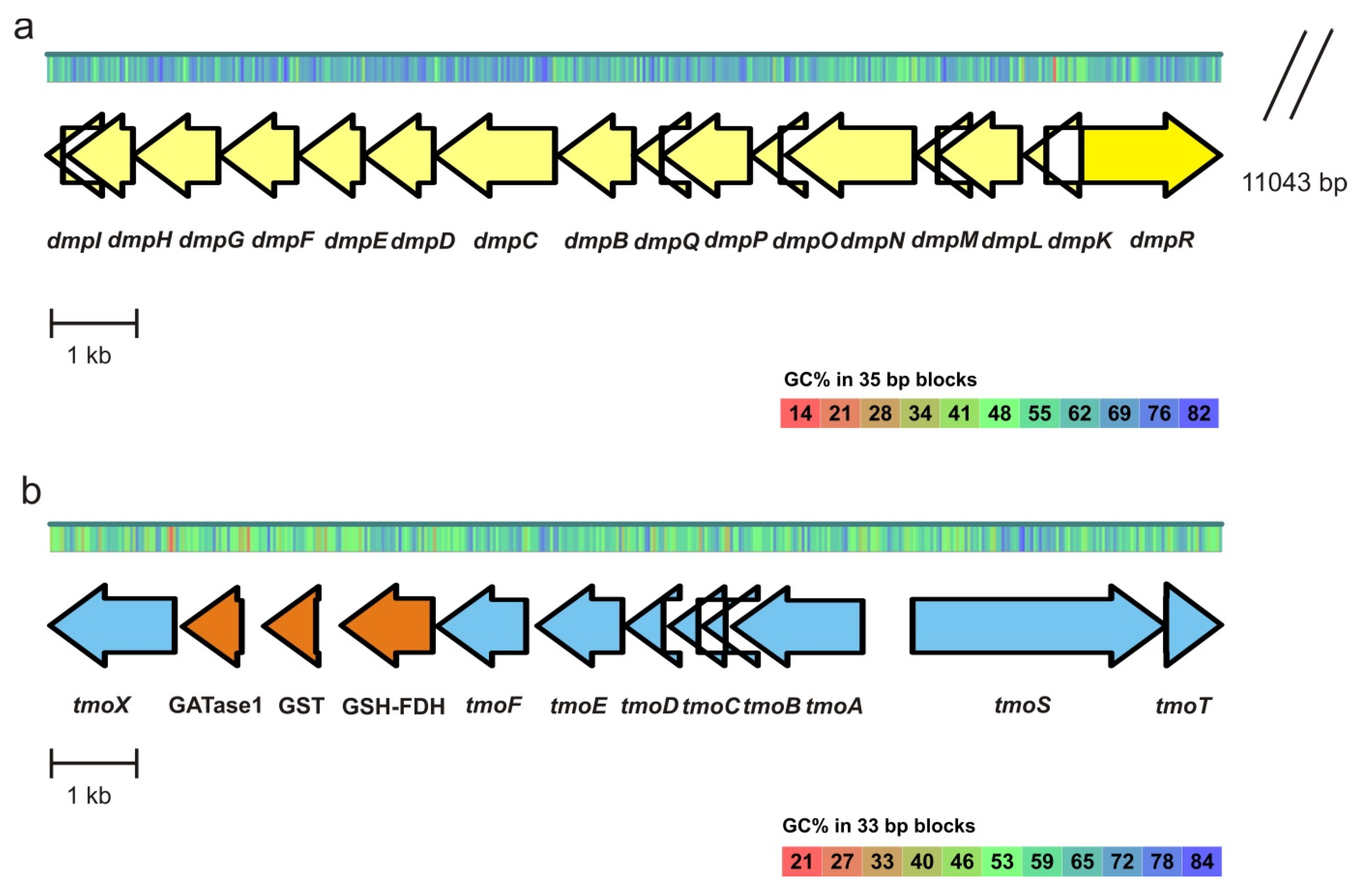 Microorganisms 08 00652 g003
