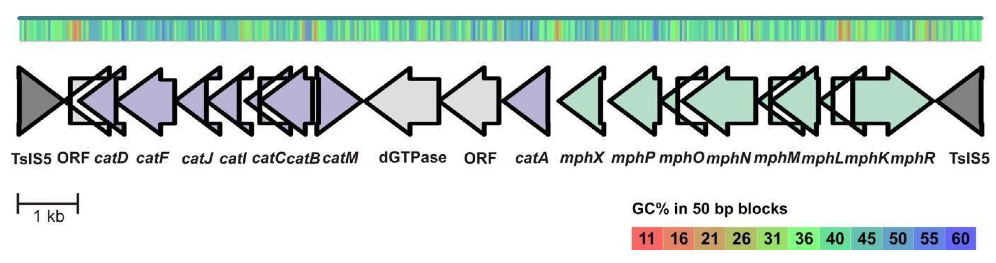 Microorganisms 08 00652 g004