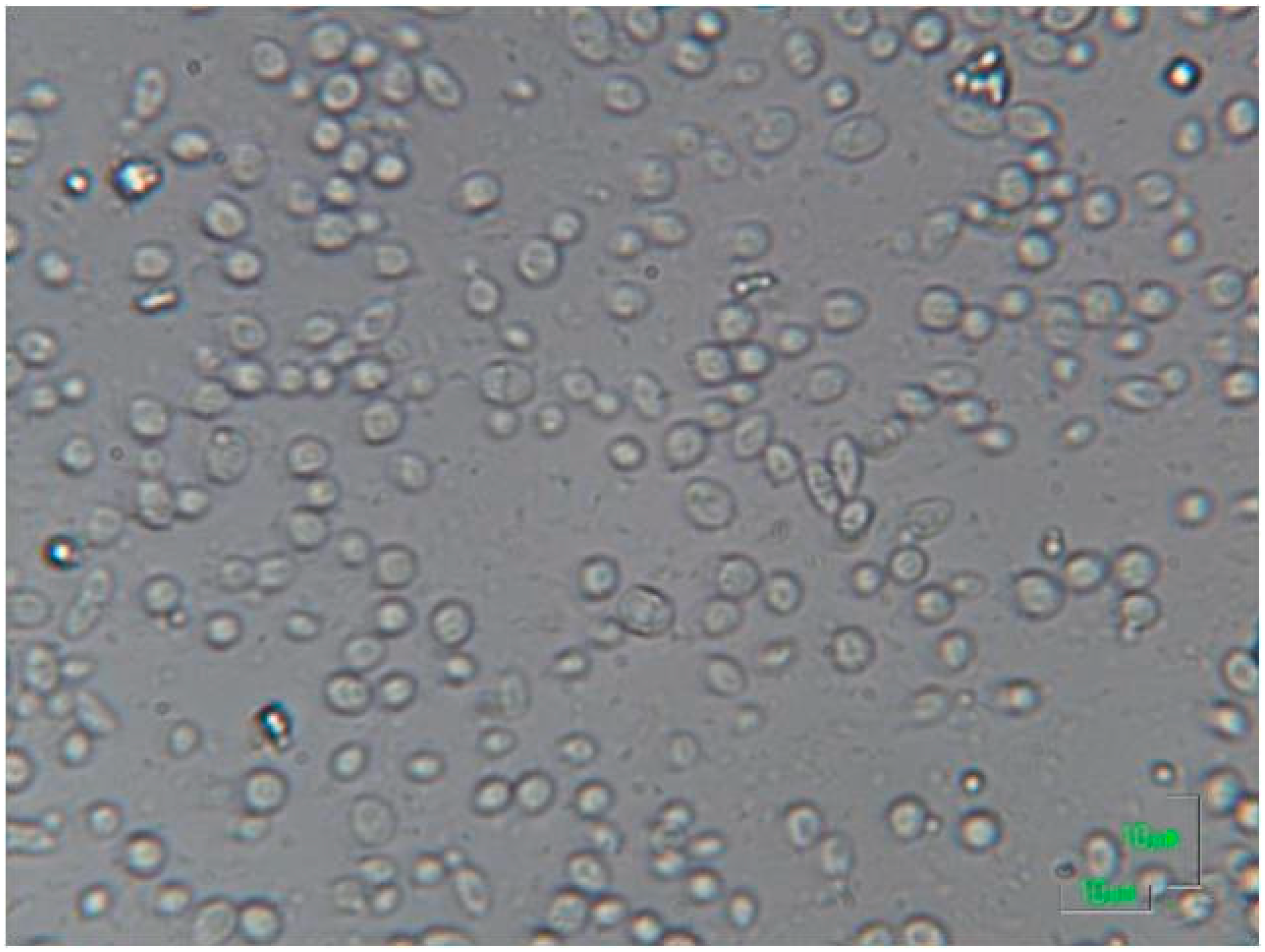 Microorganisms 08 00655 g001 Microorganisms 08 00655 g001