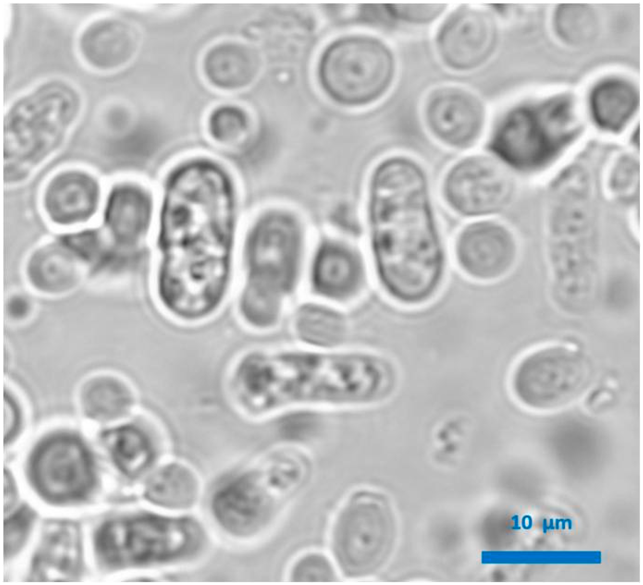 Microorganisms 08 00655 g002 Microorganisms 08 00655 g002