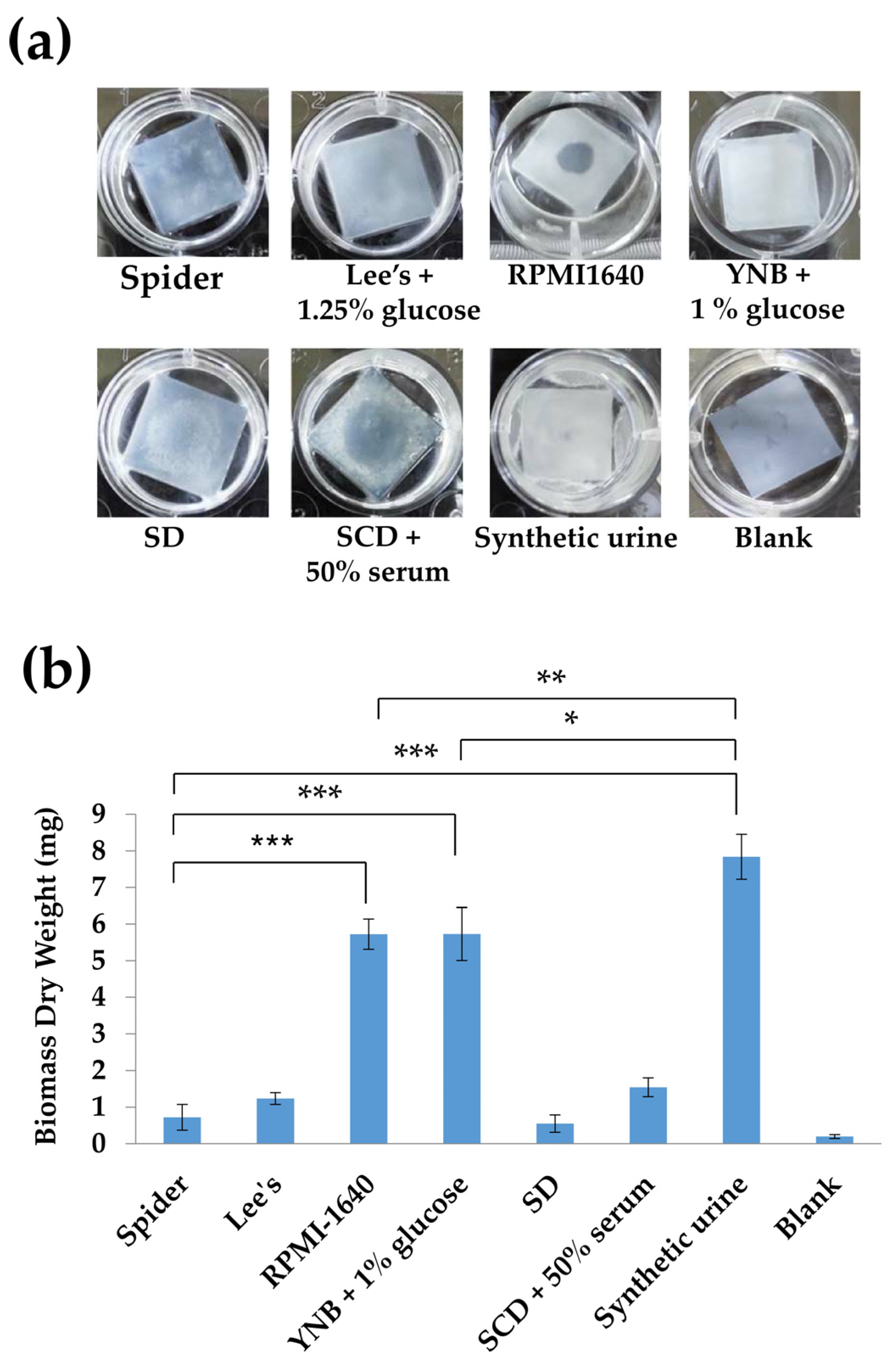 Microorganisms 08 00660 g002