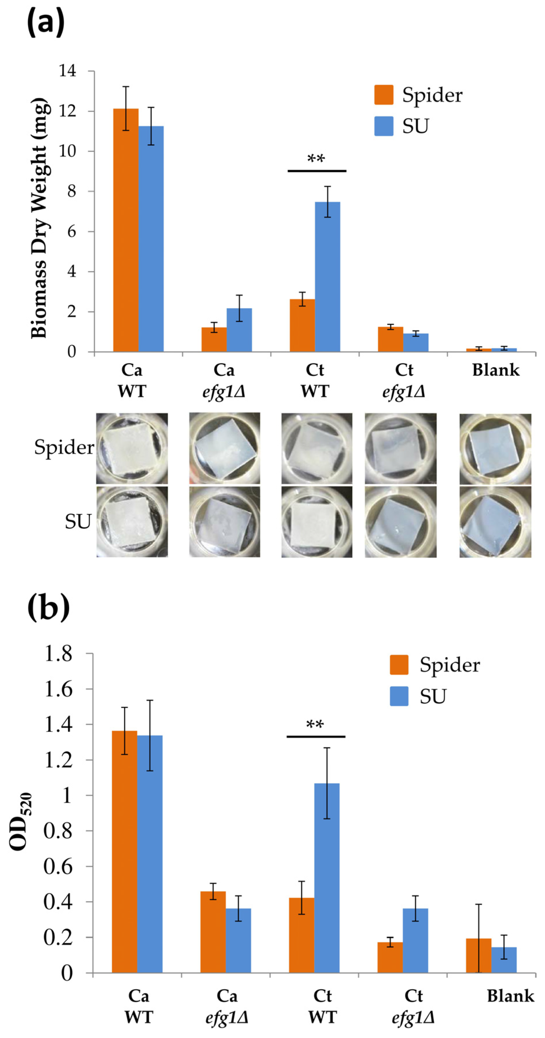 Microorganisms 08 00660 g003