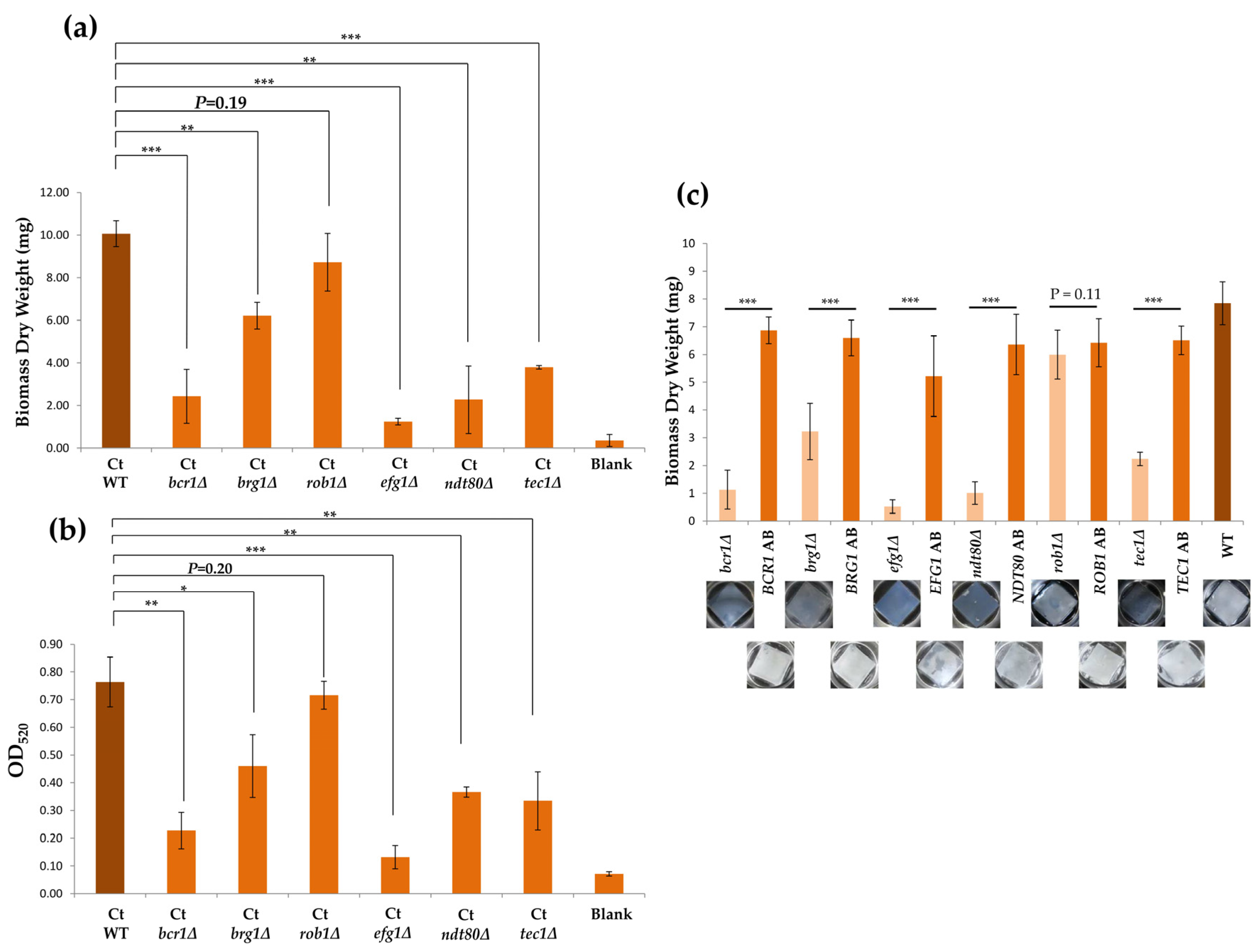 Microorganisms 08 00660 g005