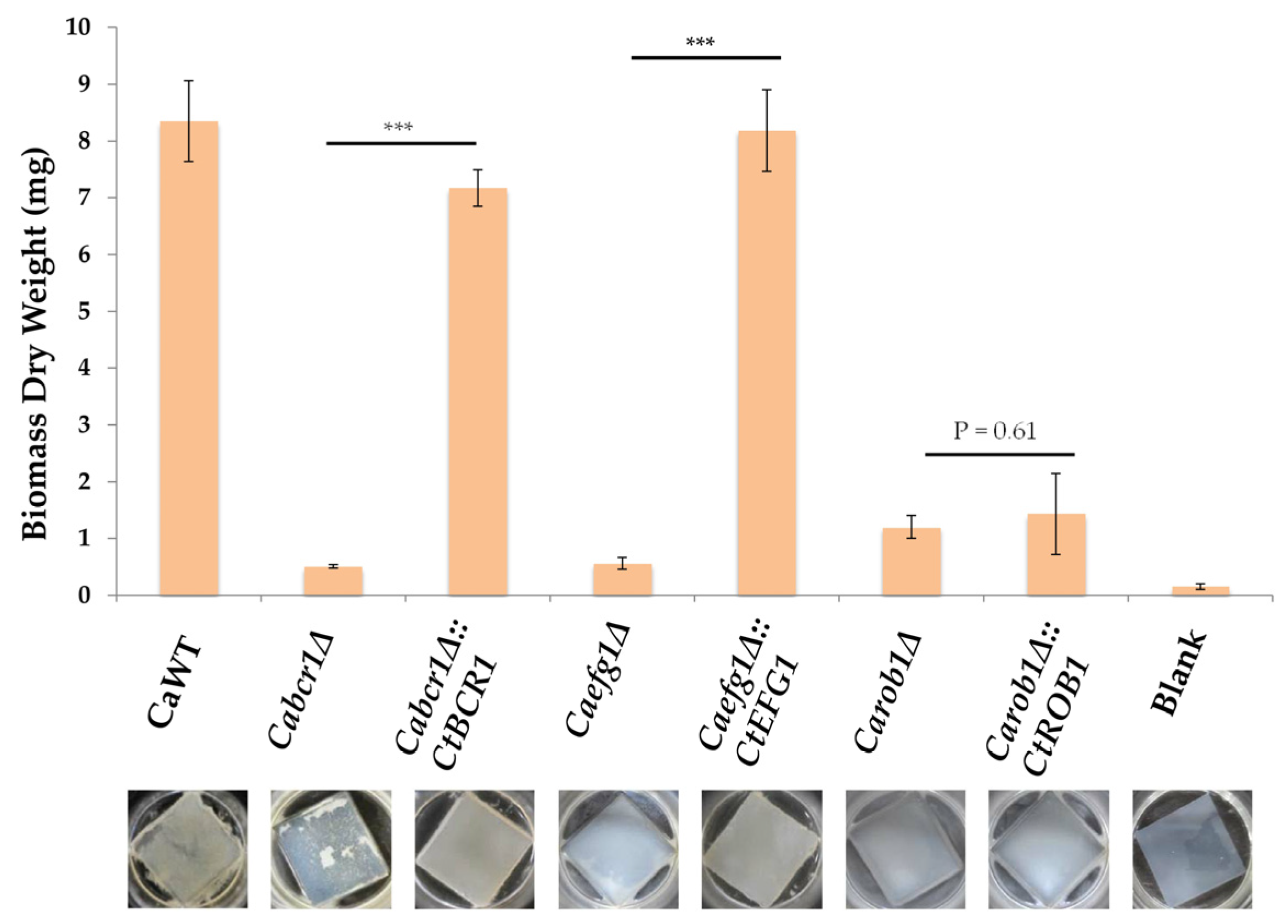 Microorganisms 08 00660 g006
