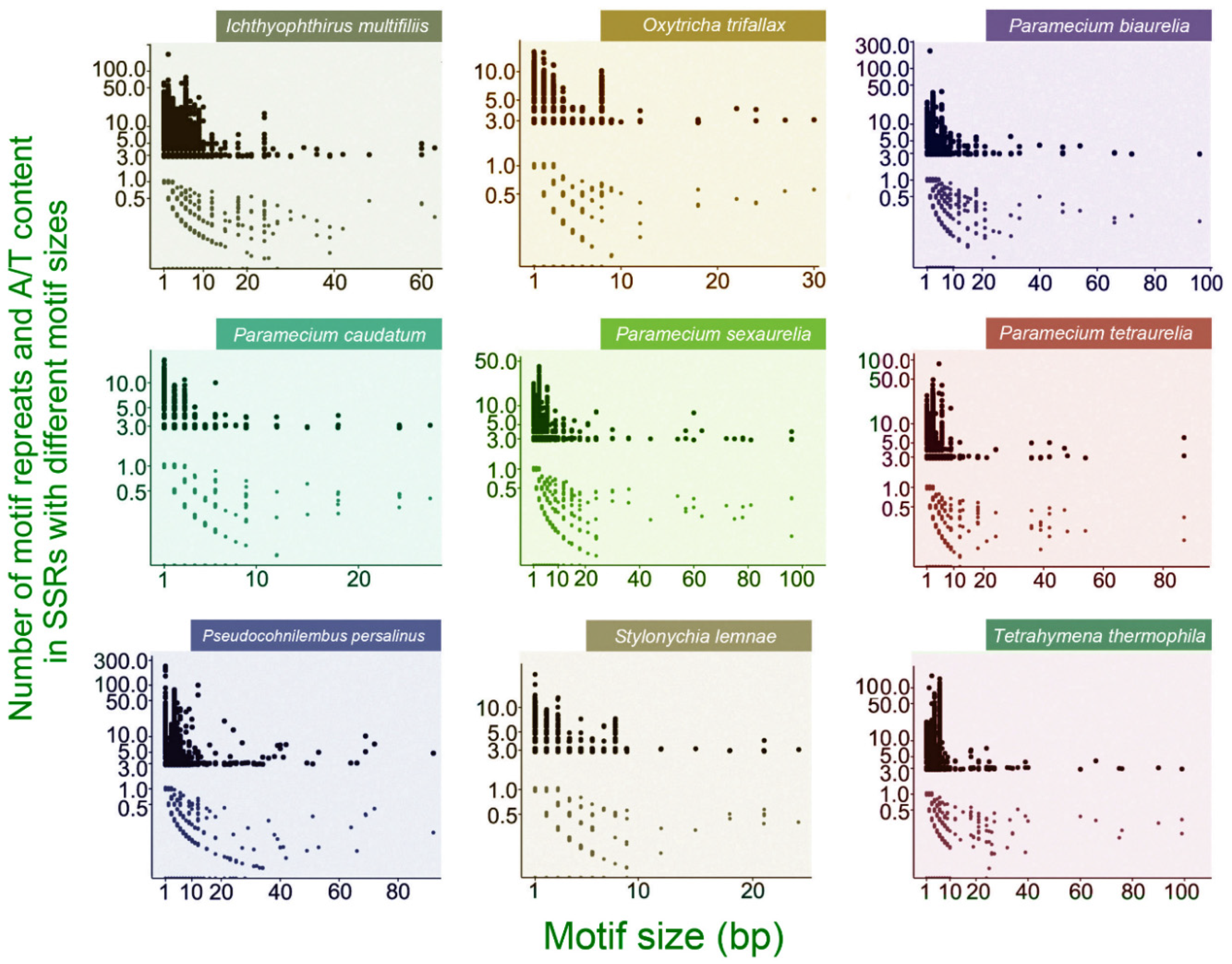 Microorganisms 08 00662 g002