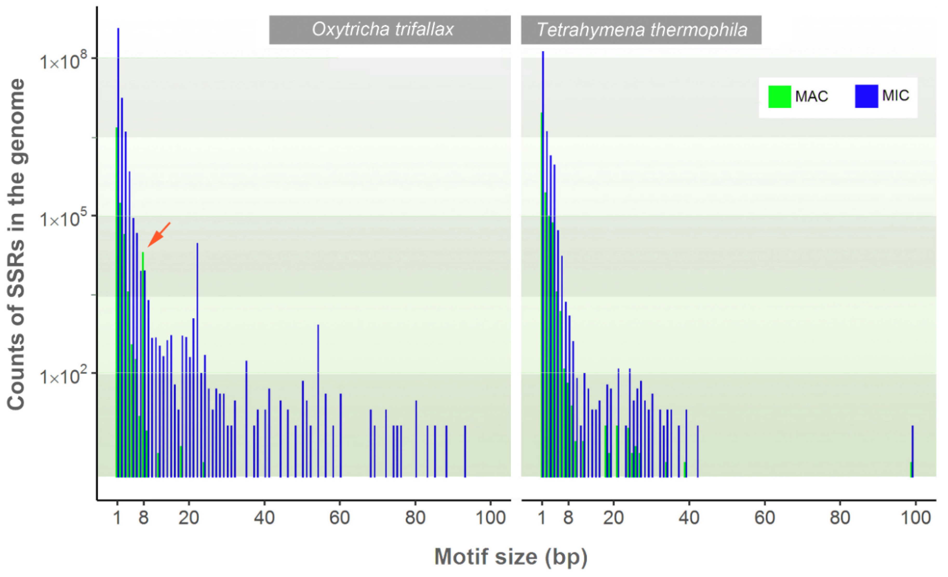 Microorganisms 08 00662 g003