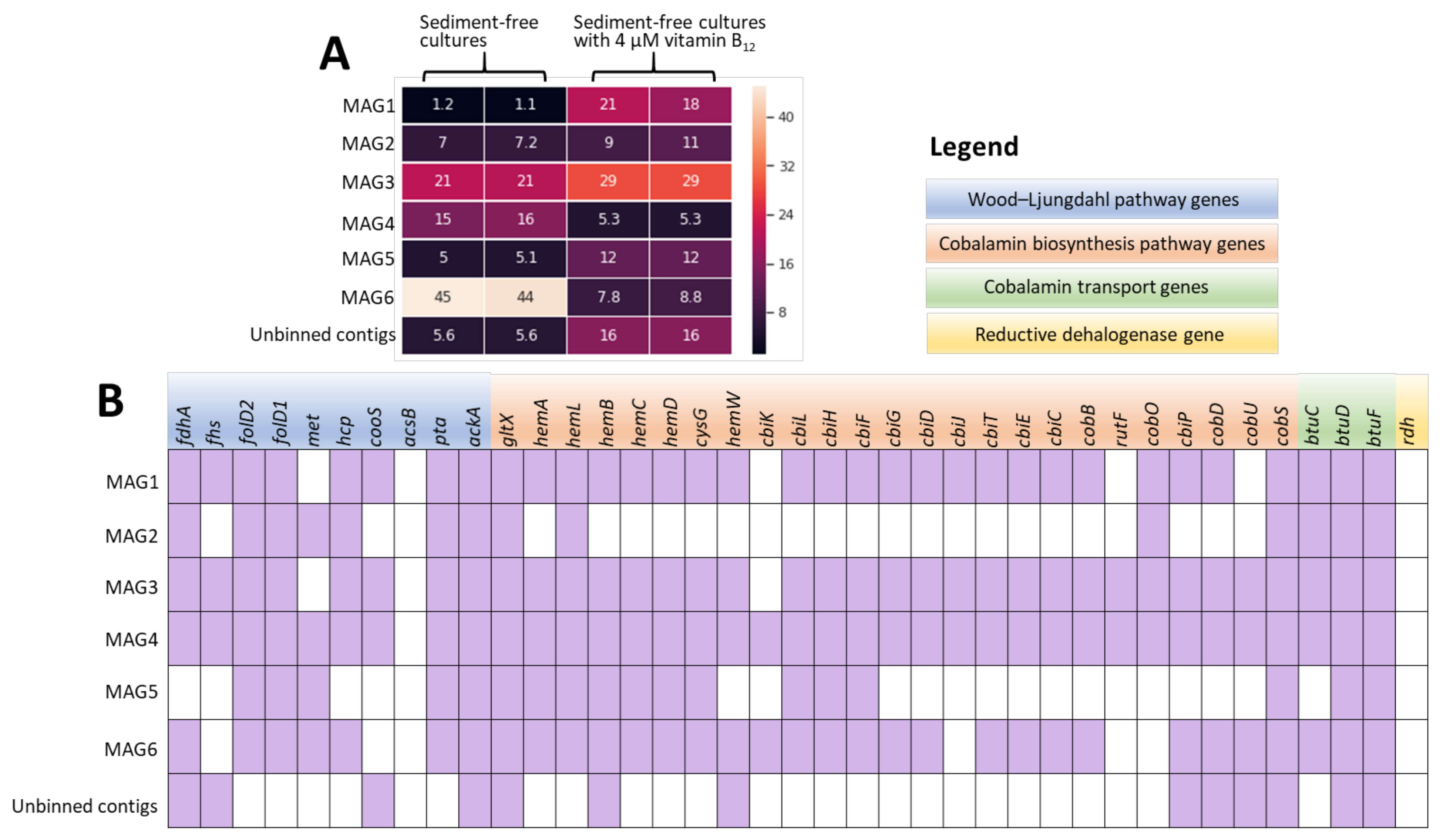 Microorganisms 08 00665 g004 Microorganisms 08 00665 g004