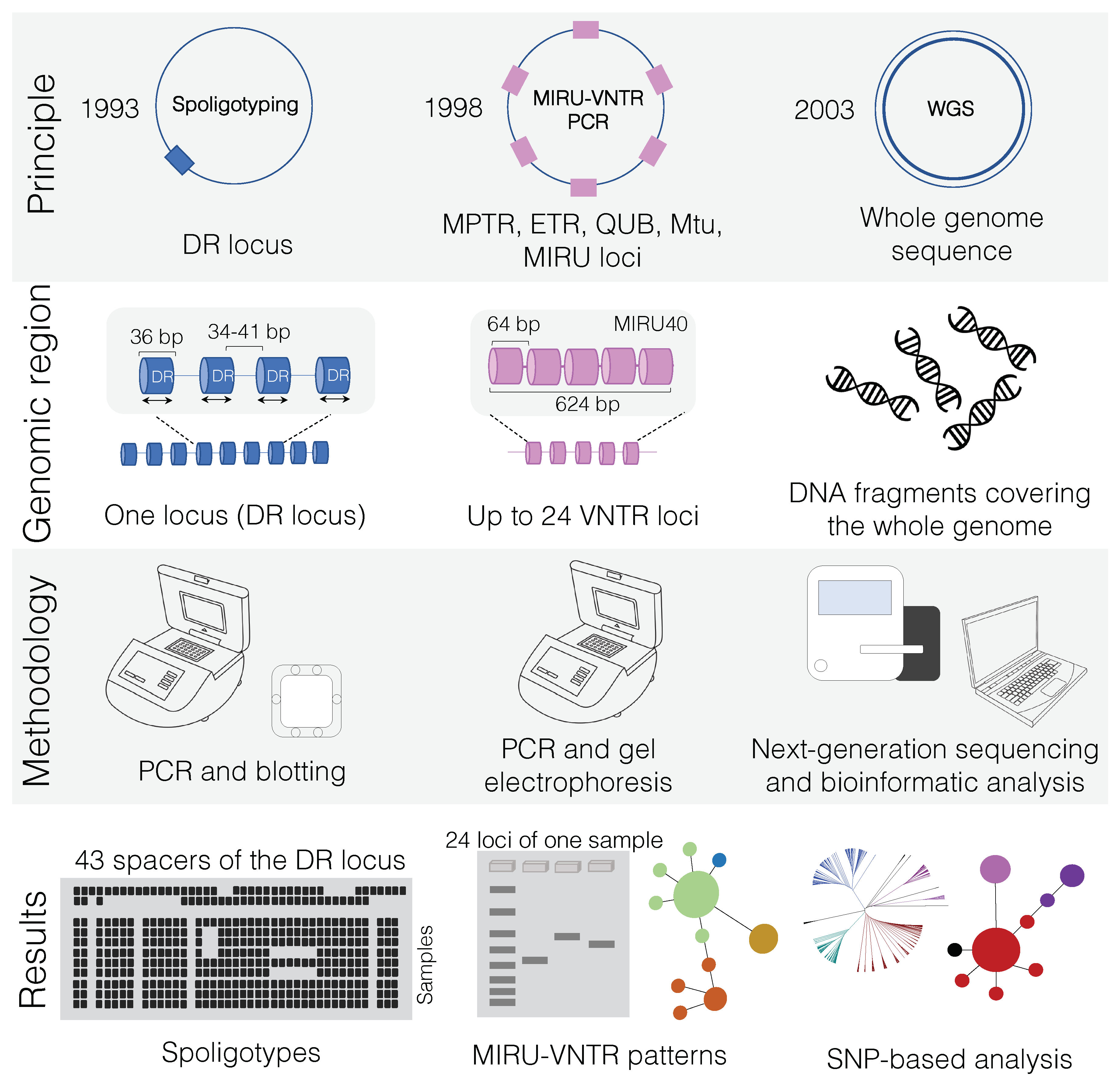 Microorganisms 08 00667 g002 Microorganisms 08 00667 g002