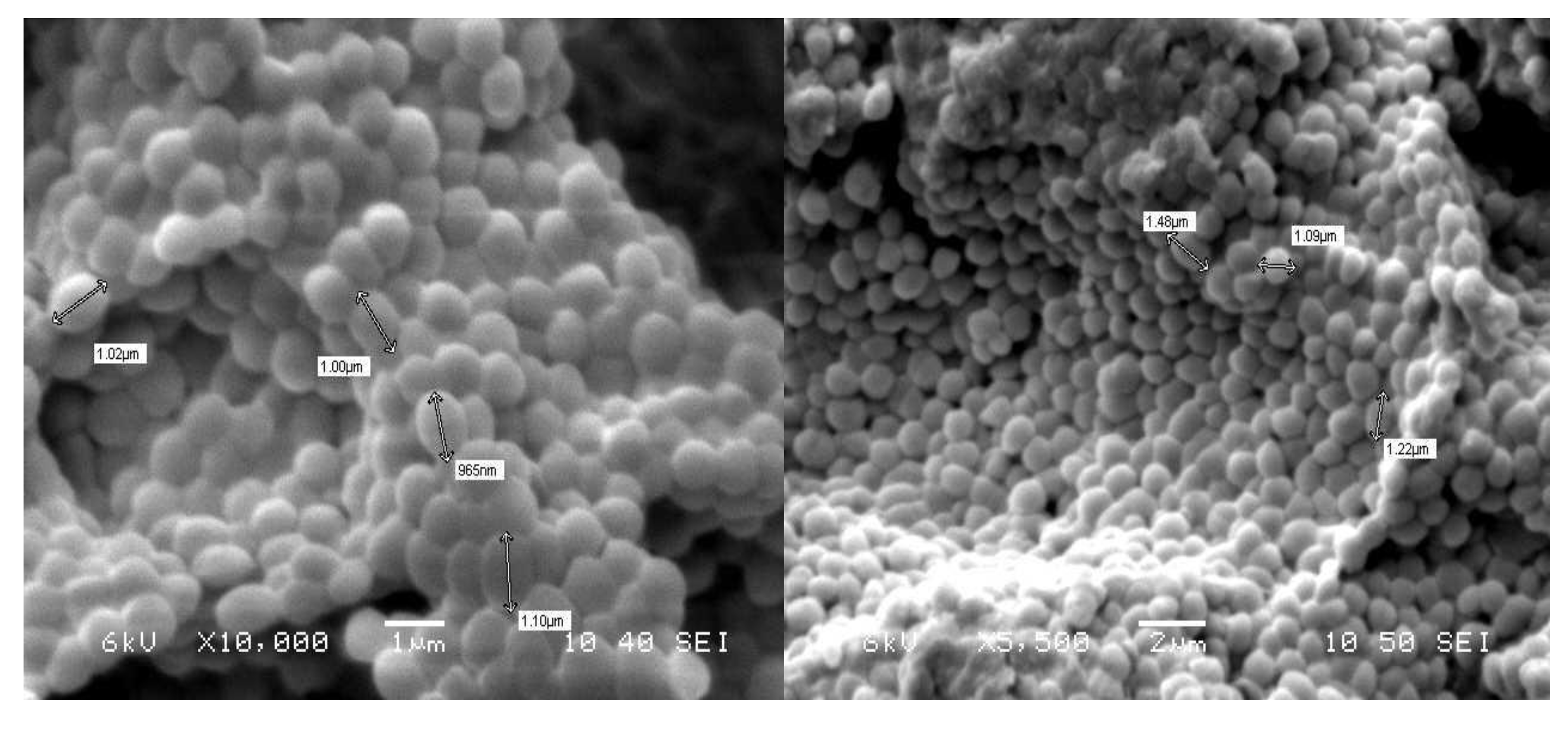 Microorganisms 08 00668 g002 Microorganisms 08 00668 g002