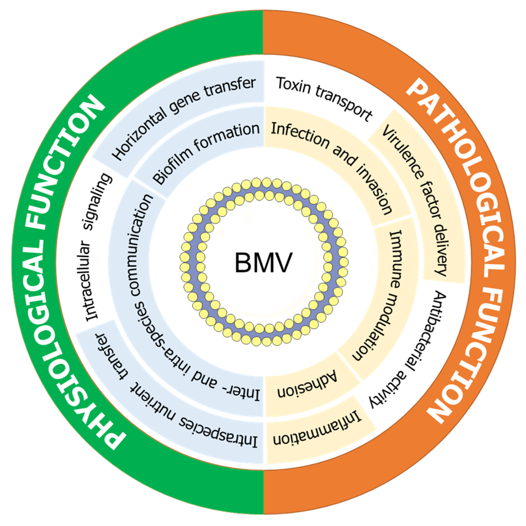 Microorganisms 08 00670 g002
