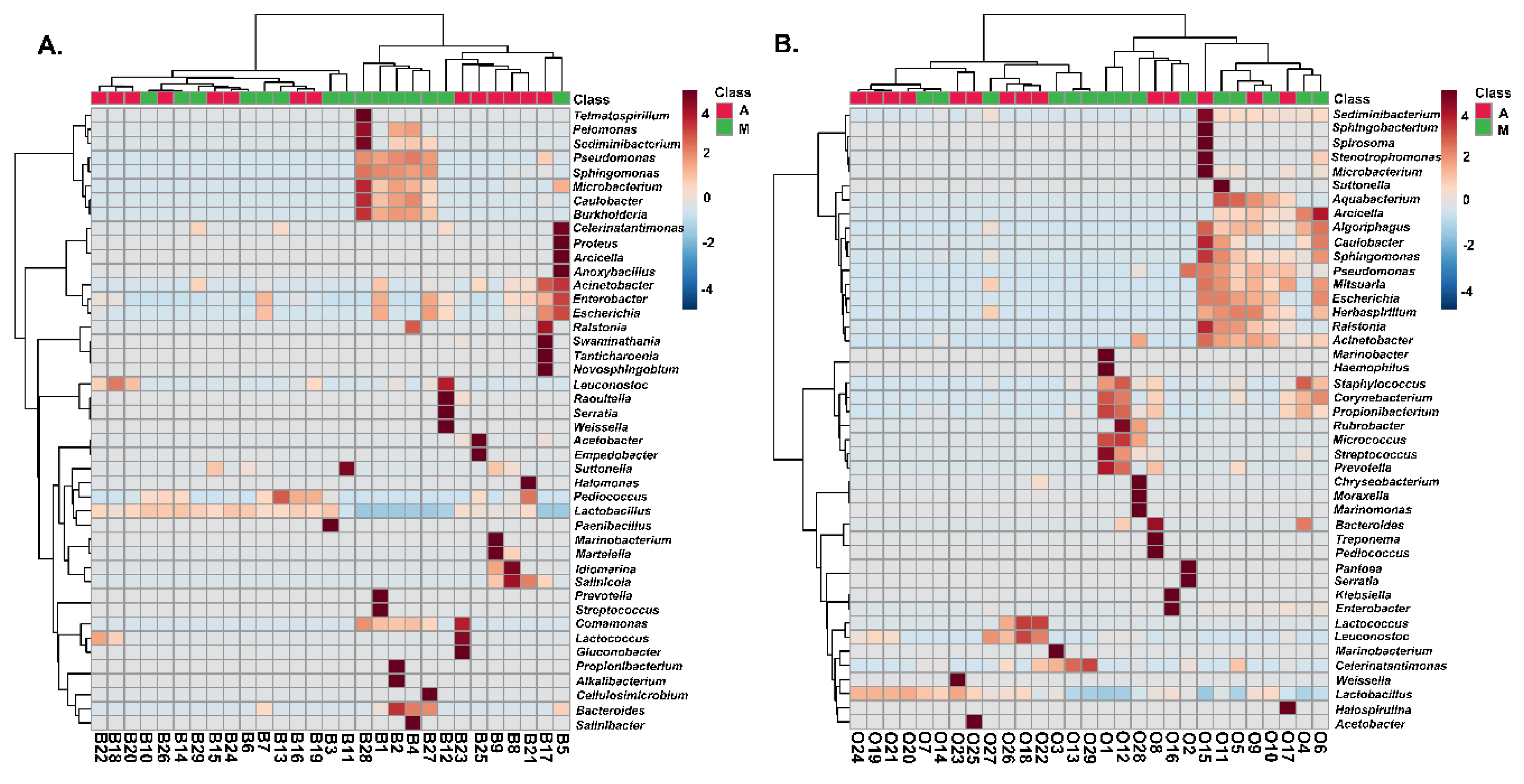 Microorganisms 08 00672 g008 Microorganisms 08 00672 g008