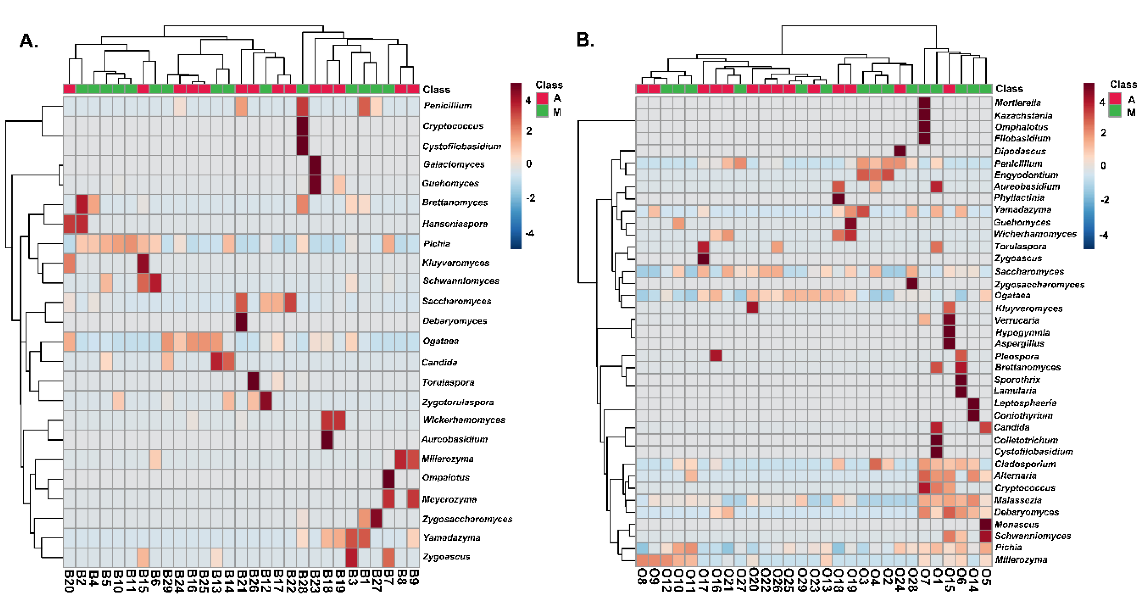 Microorganisms 08 00672 g009 Microorganisms 08 00672 g009