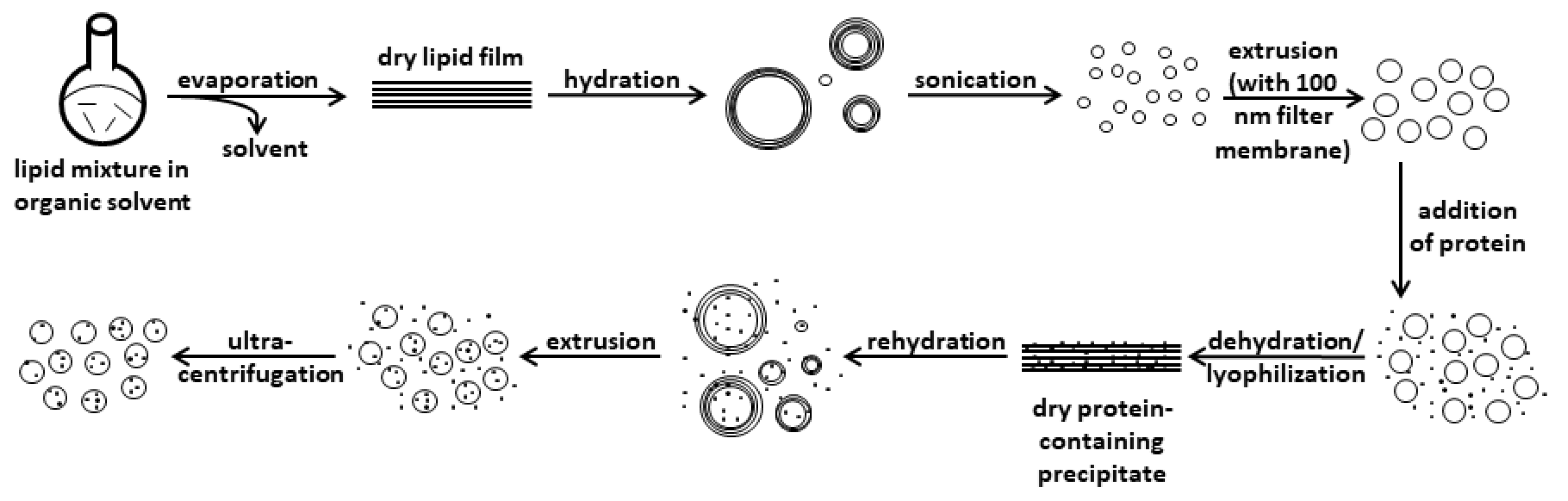 Microorganisms 08 00673 g001