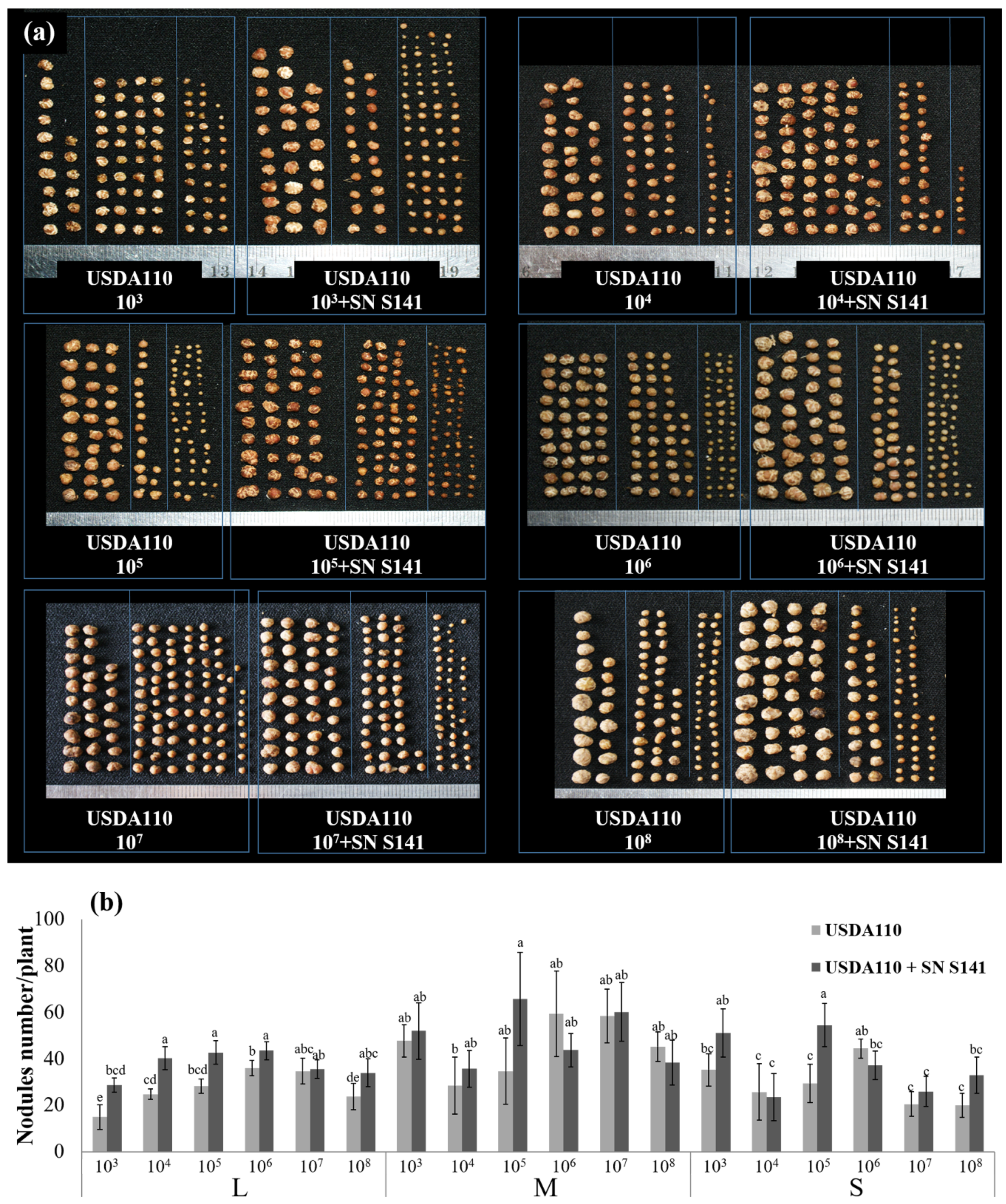 Microorganisms 08 00678 g003 Microorganisms 08 00678 g003