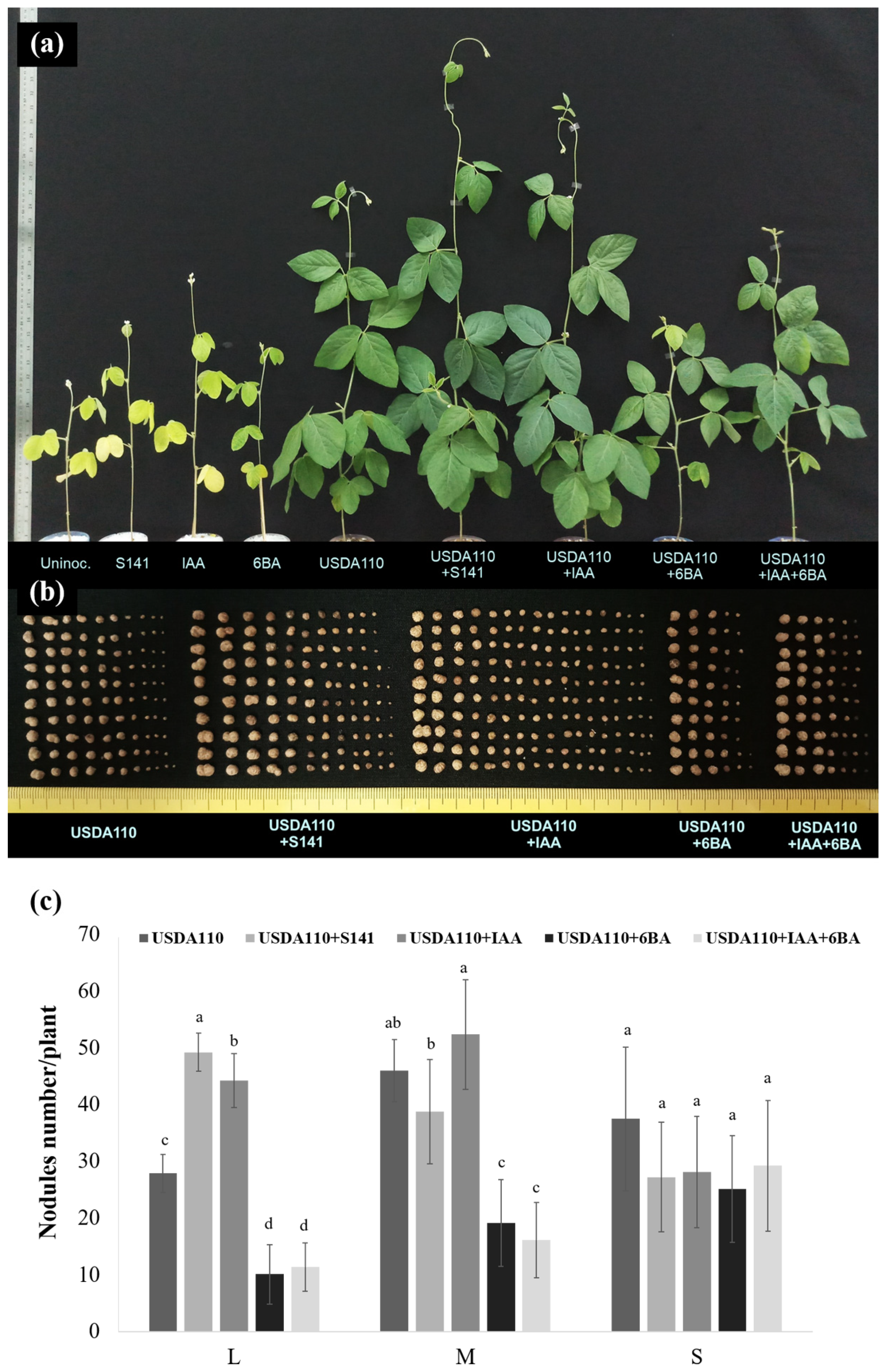 Microorganisms 08 00678 g006 Microorganisms 08 00678 g006