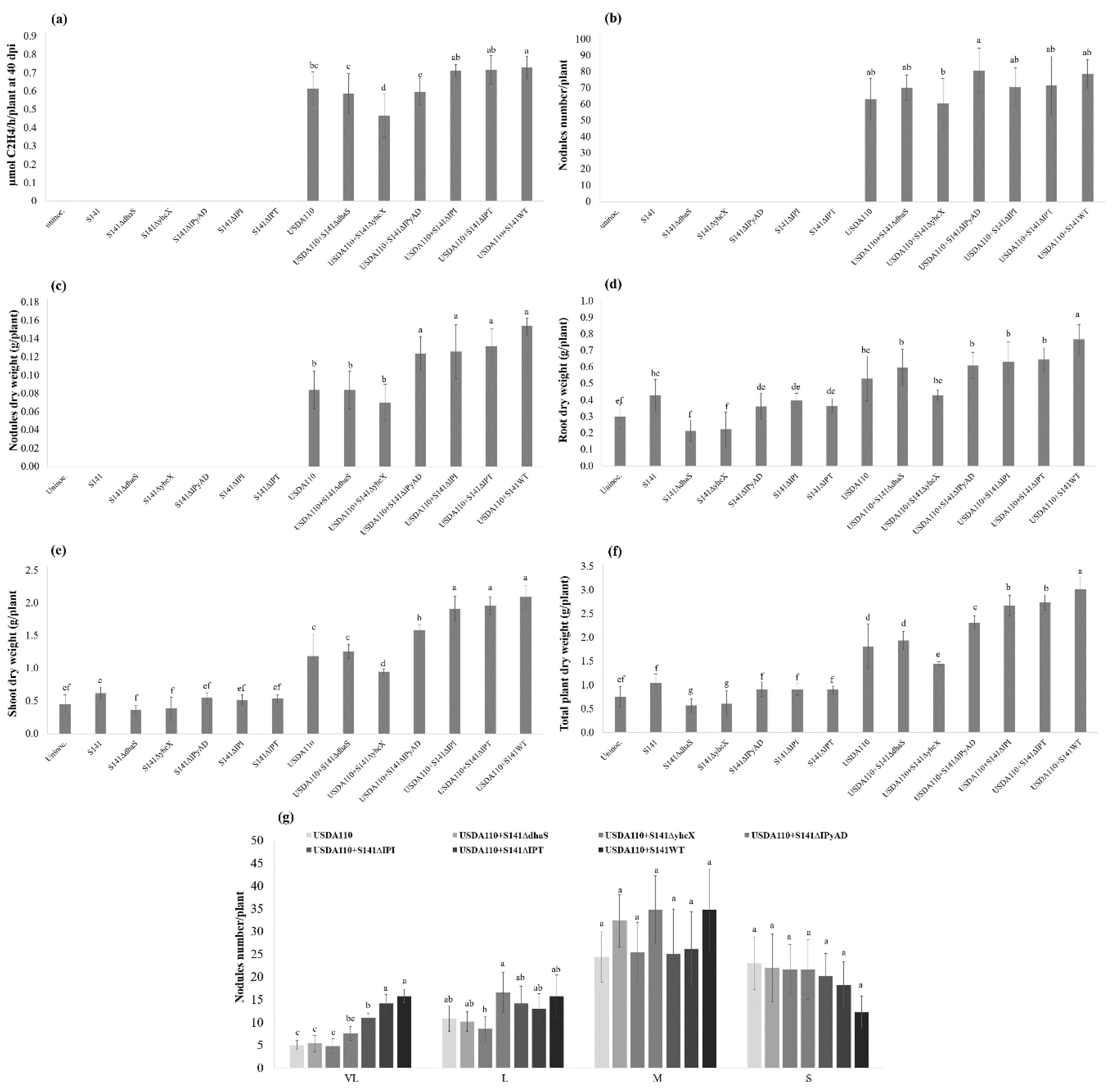 Microorganisms 08 00678 g008 Microorganisms 08 00678 g008