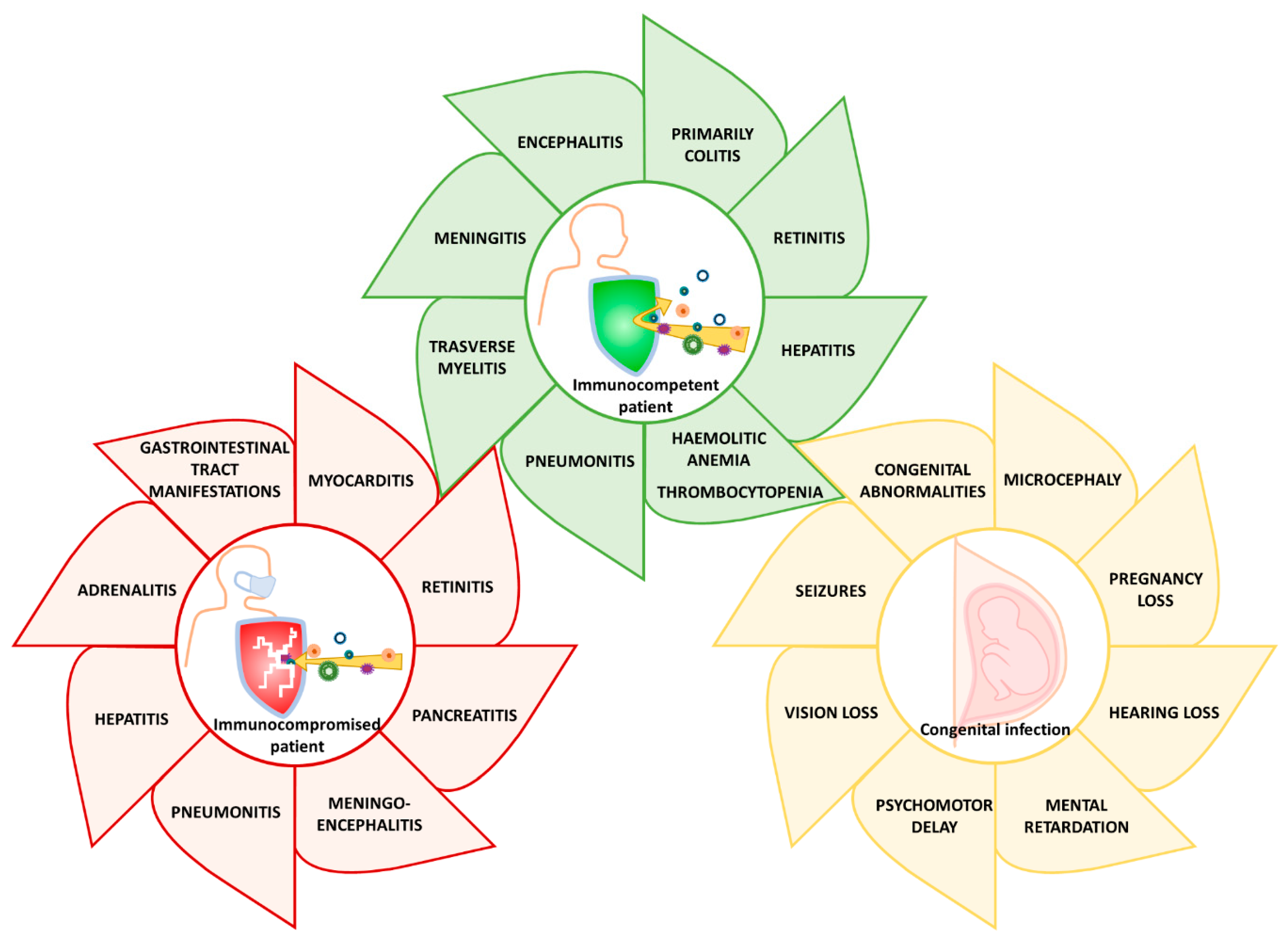Microorganisms 08 00685 g002