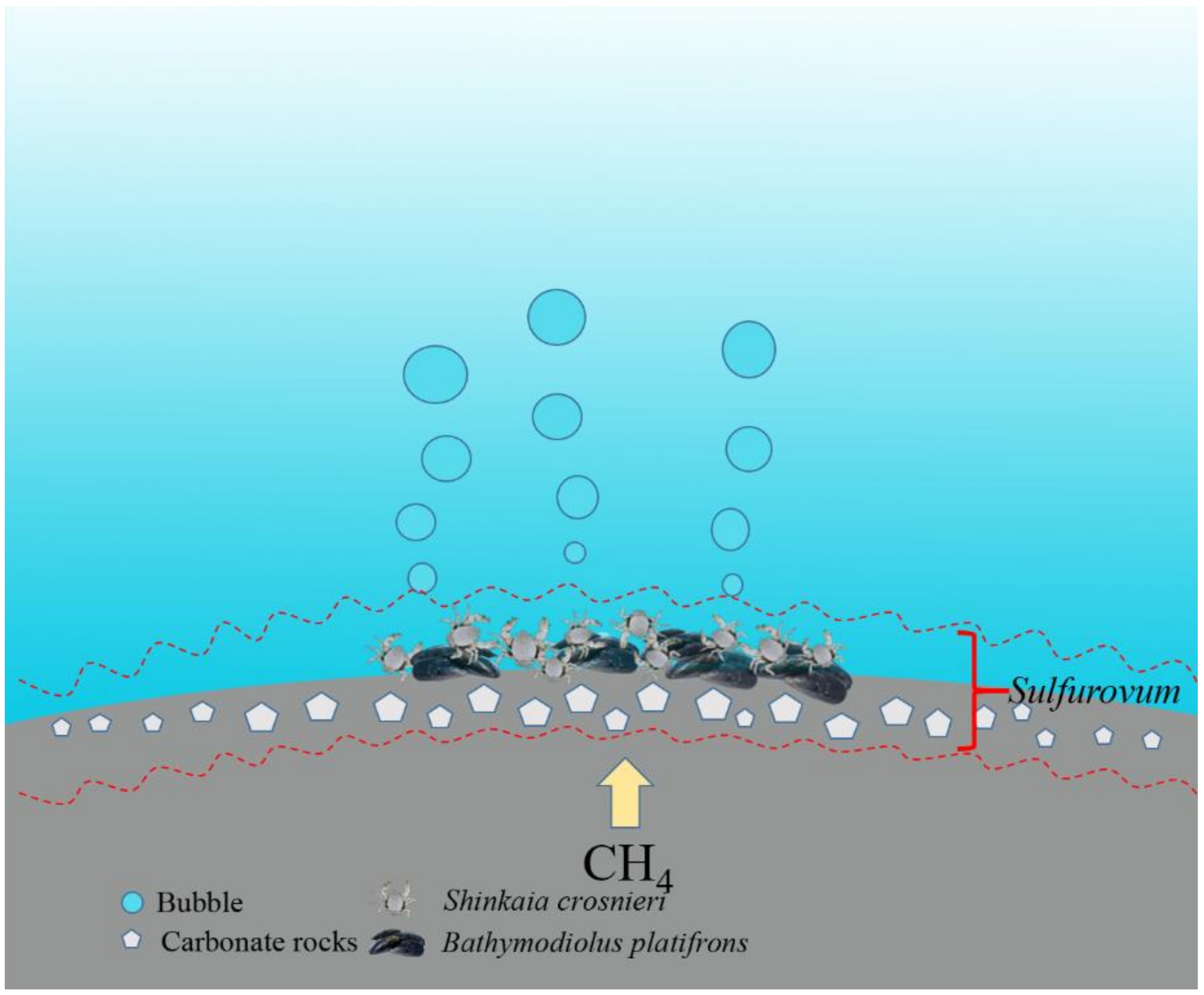 Microorganisms 08 00687 g010