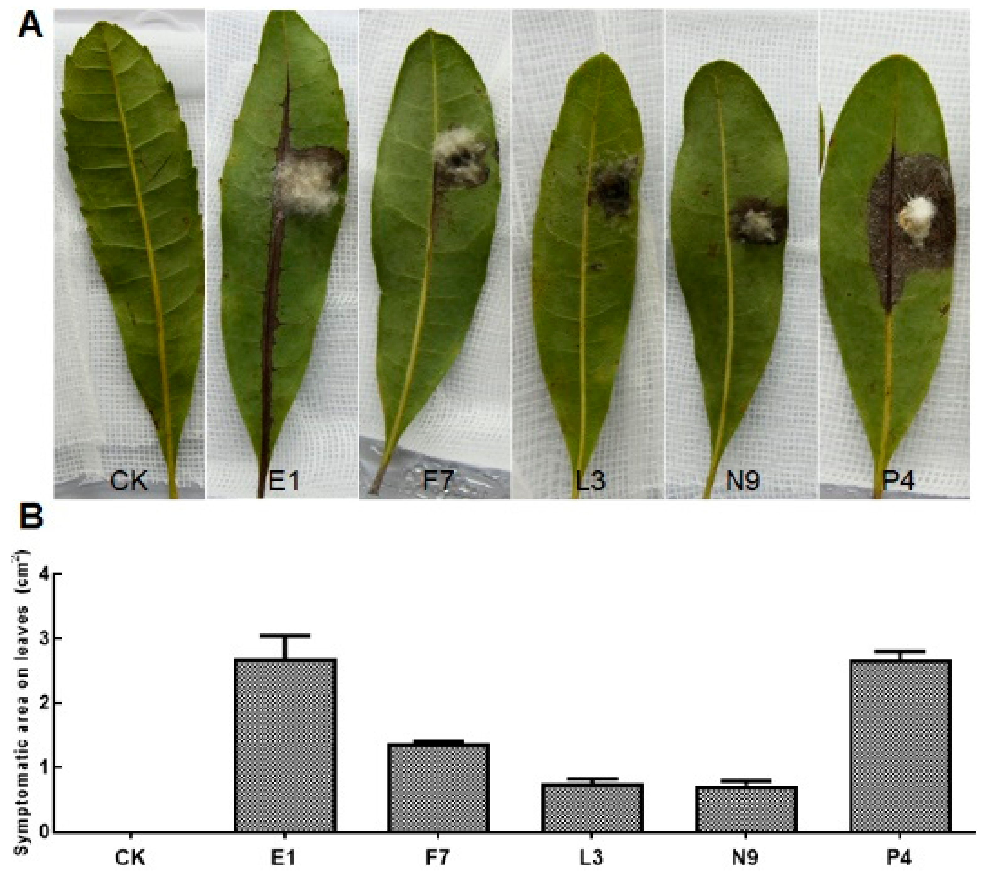 Microorganisms 08 00689 g002 Microorganisms 08 00689 g002