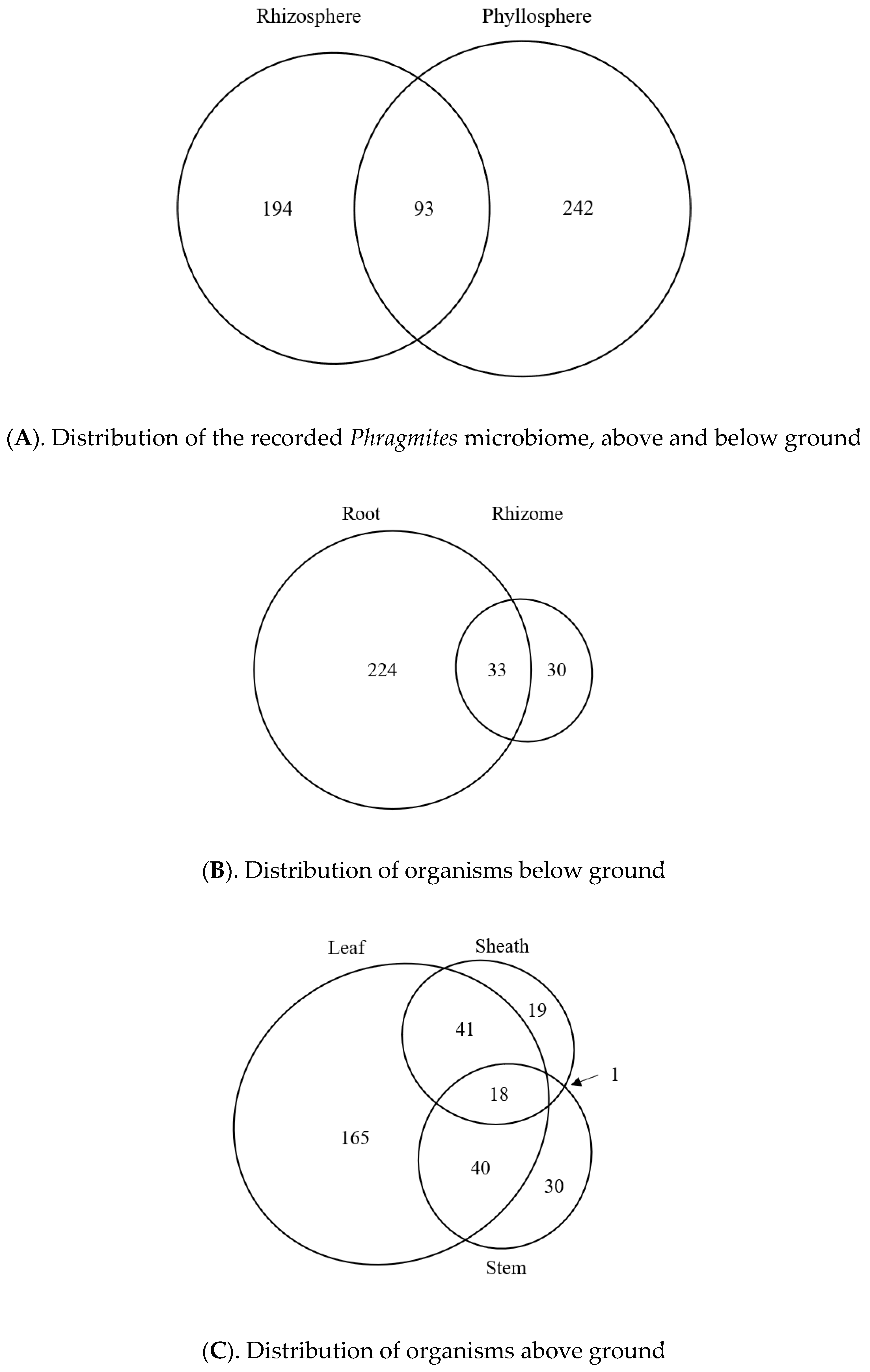 Microorganisms | Free Full-Text | Growth and Behavior of North American ...
