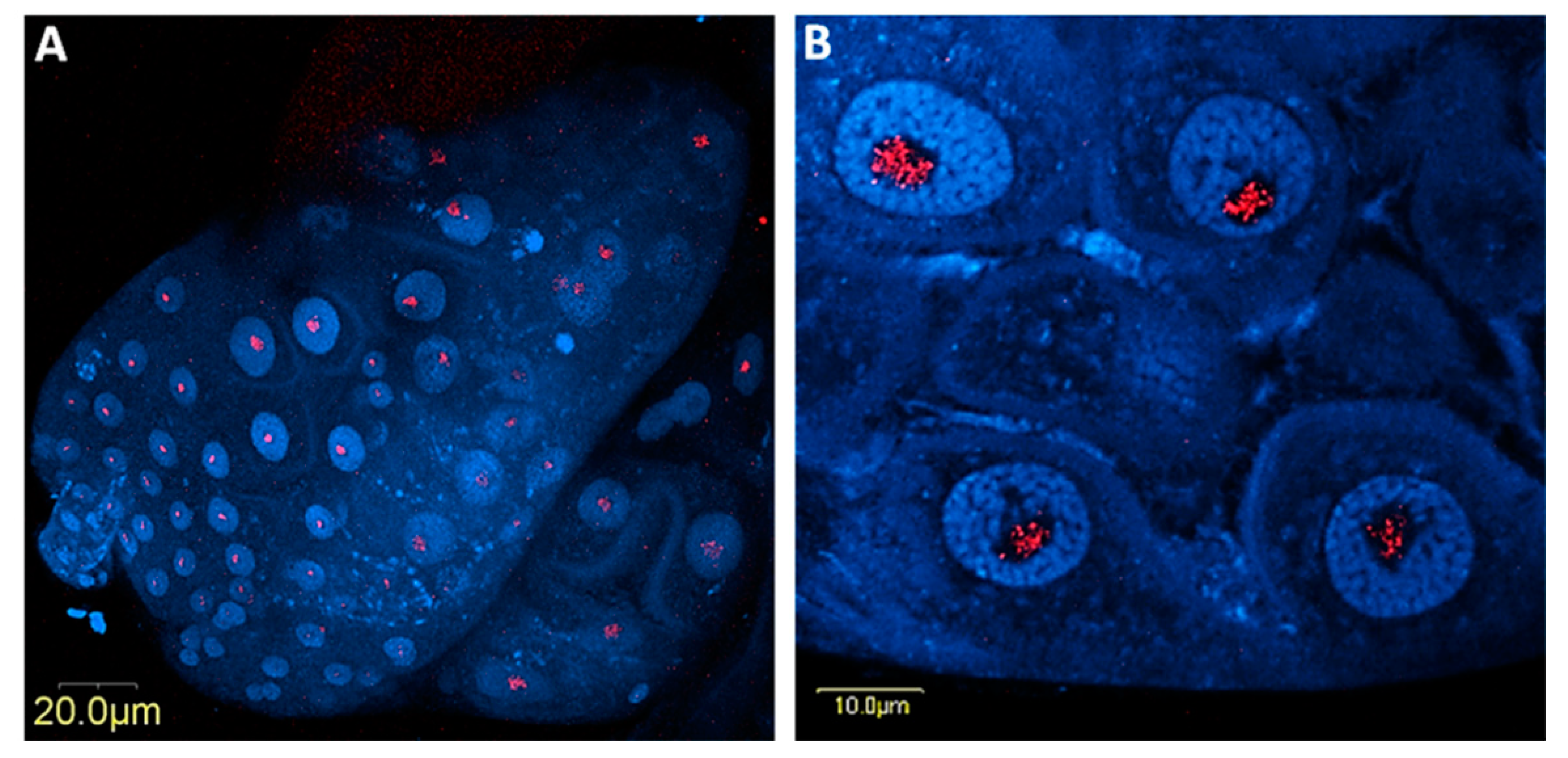 Microorganisms 08 00692 g006 Microorganisms 08 00692 g006