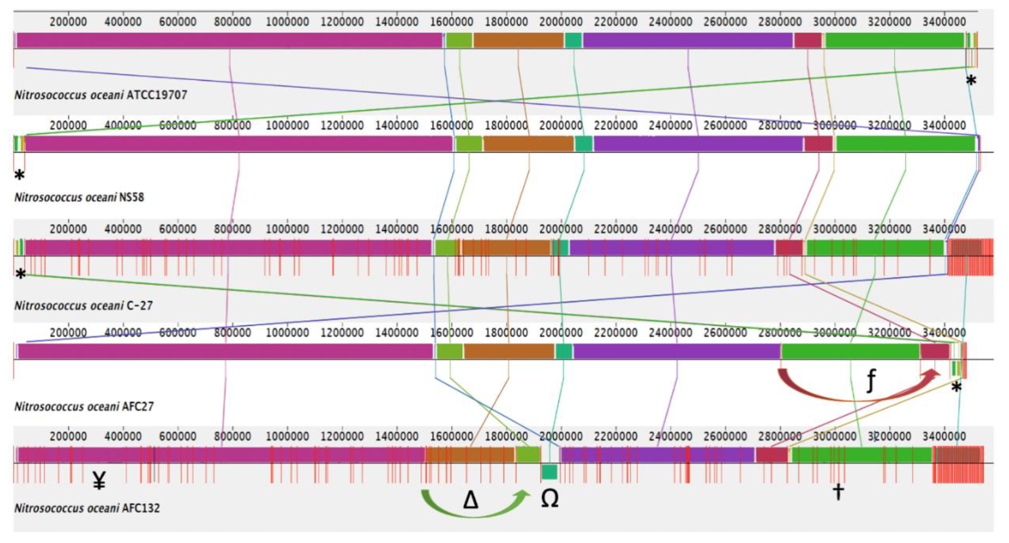 Microorganisms 08 00693 g002 Microorganisms 08 00693 g002