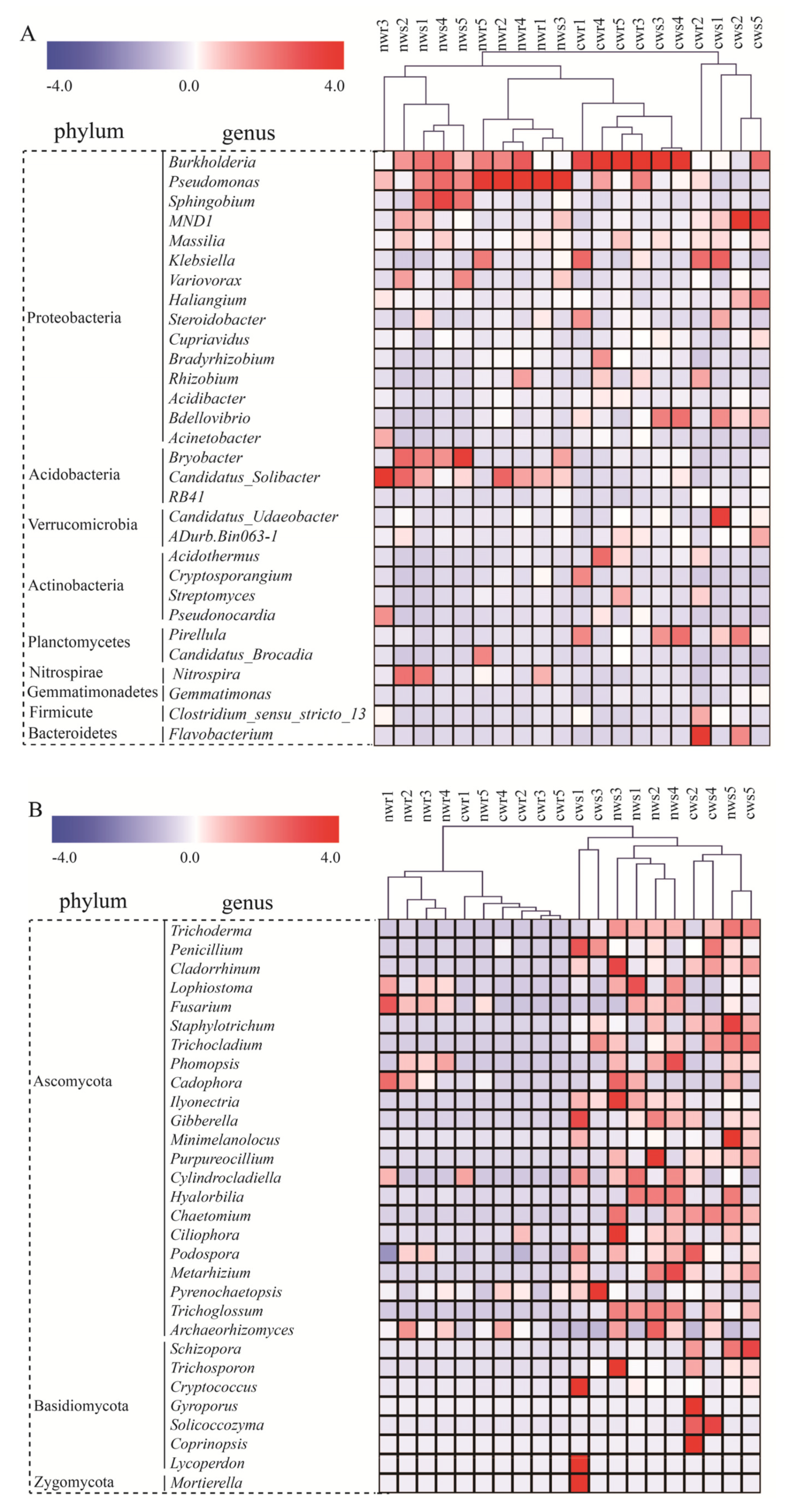 Microorganisms 08 00694 g006 Microorganisms 08 00694 g006
