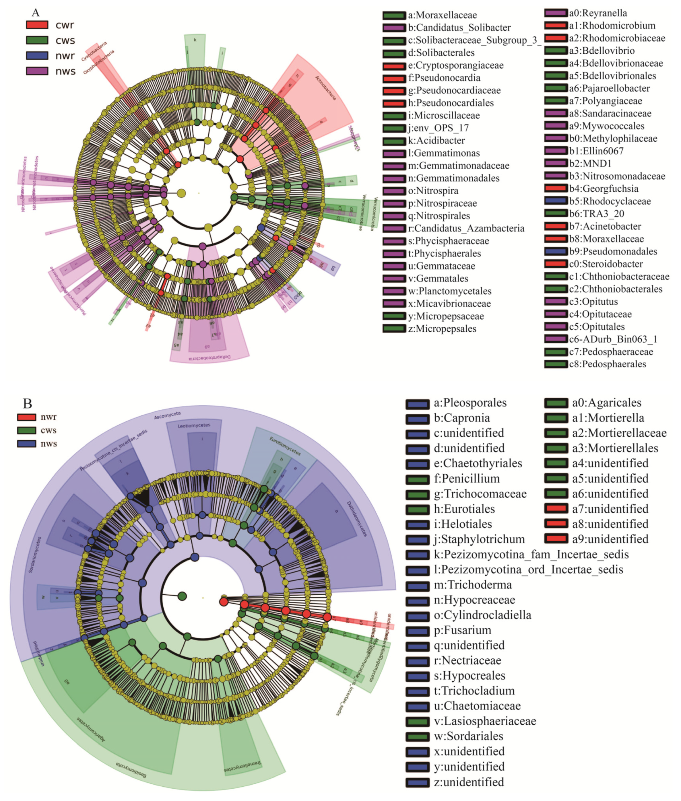 Microorganisms Free Full Text Soil Chemical And Microbiological Properties Are Changed By Long Term Chemical Fertilizers That Limit Ecosystem Functioning Html