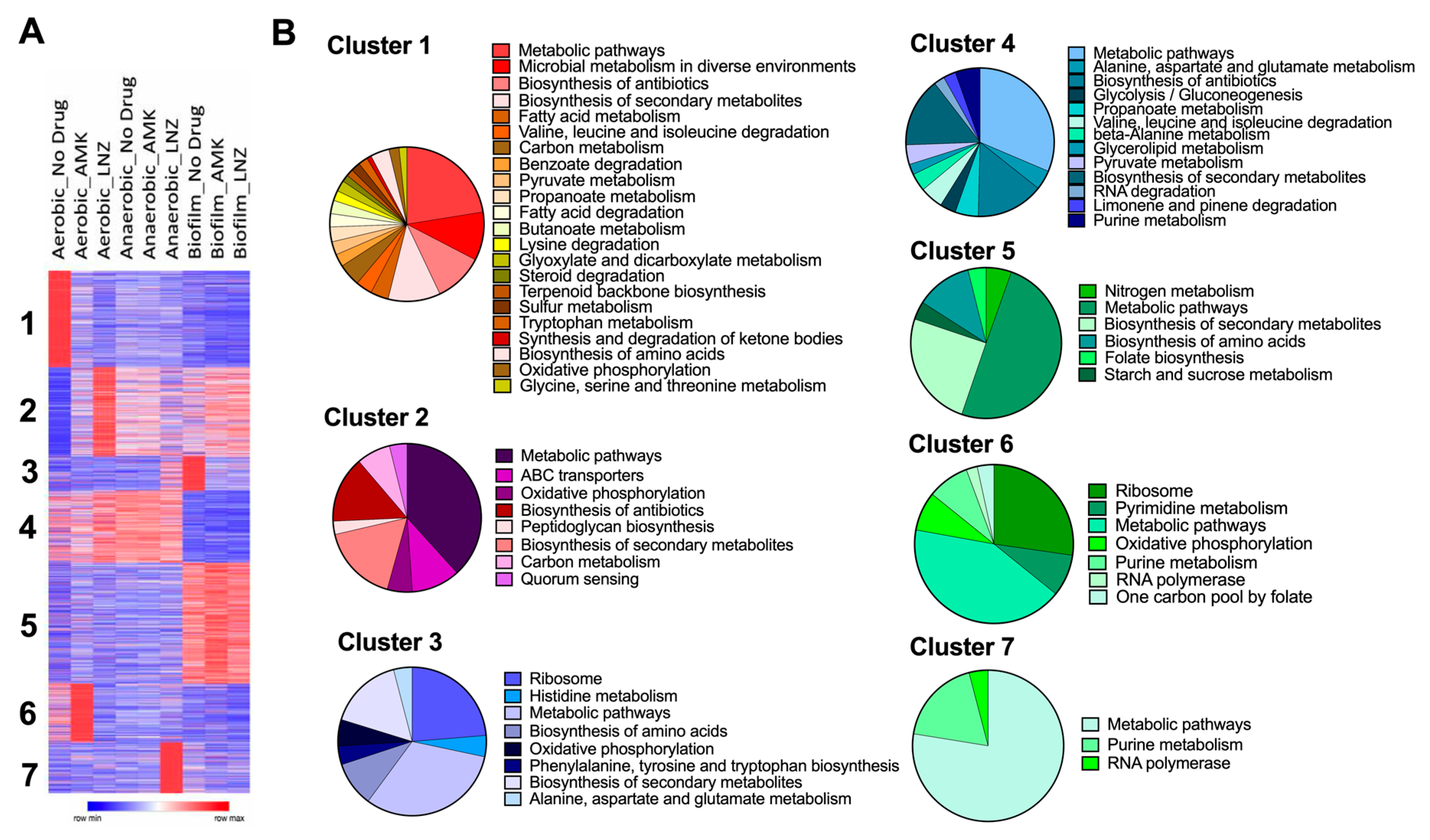 Microorganisms 08 00698 g004