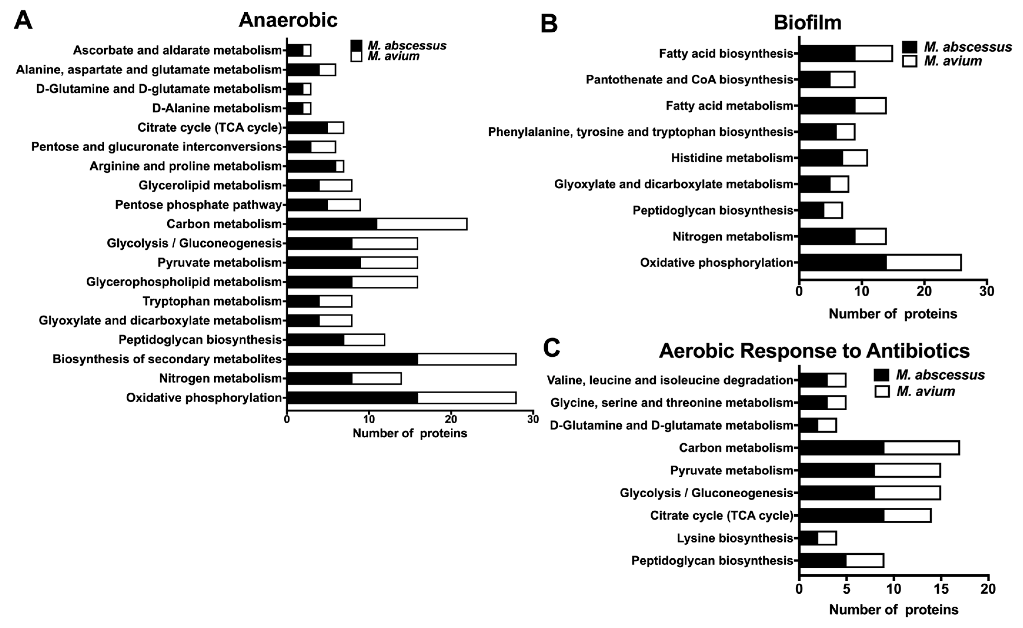 Microorganisms 08 00698 g007