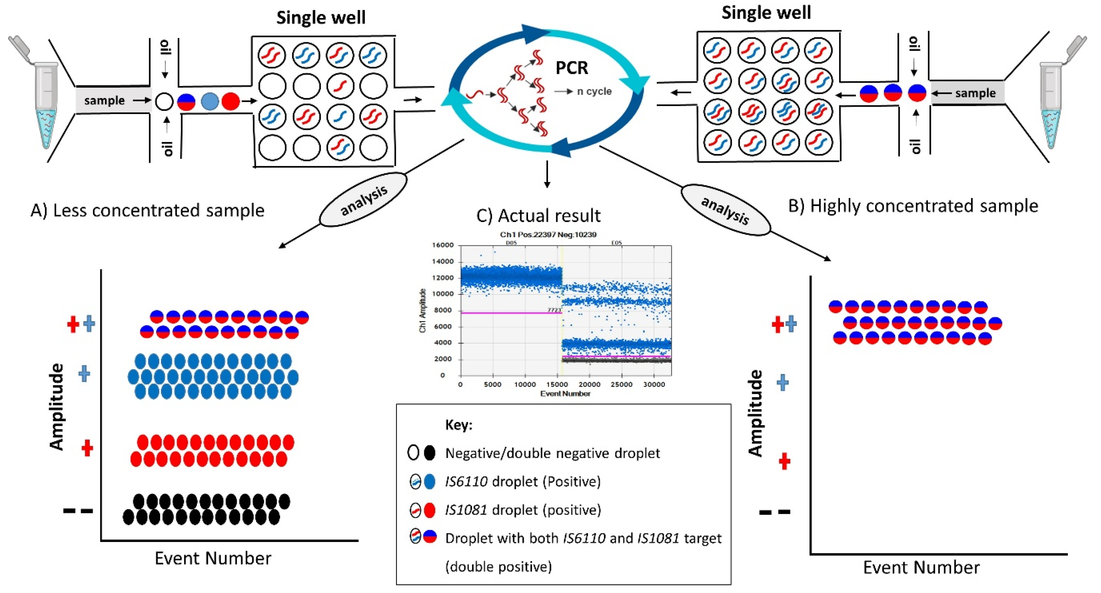 Microorganisms 08 00701 g008