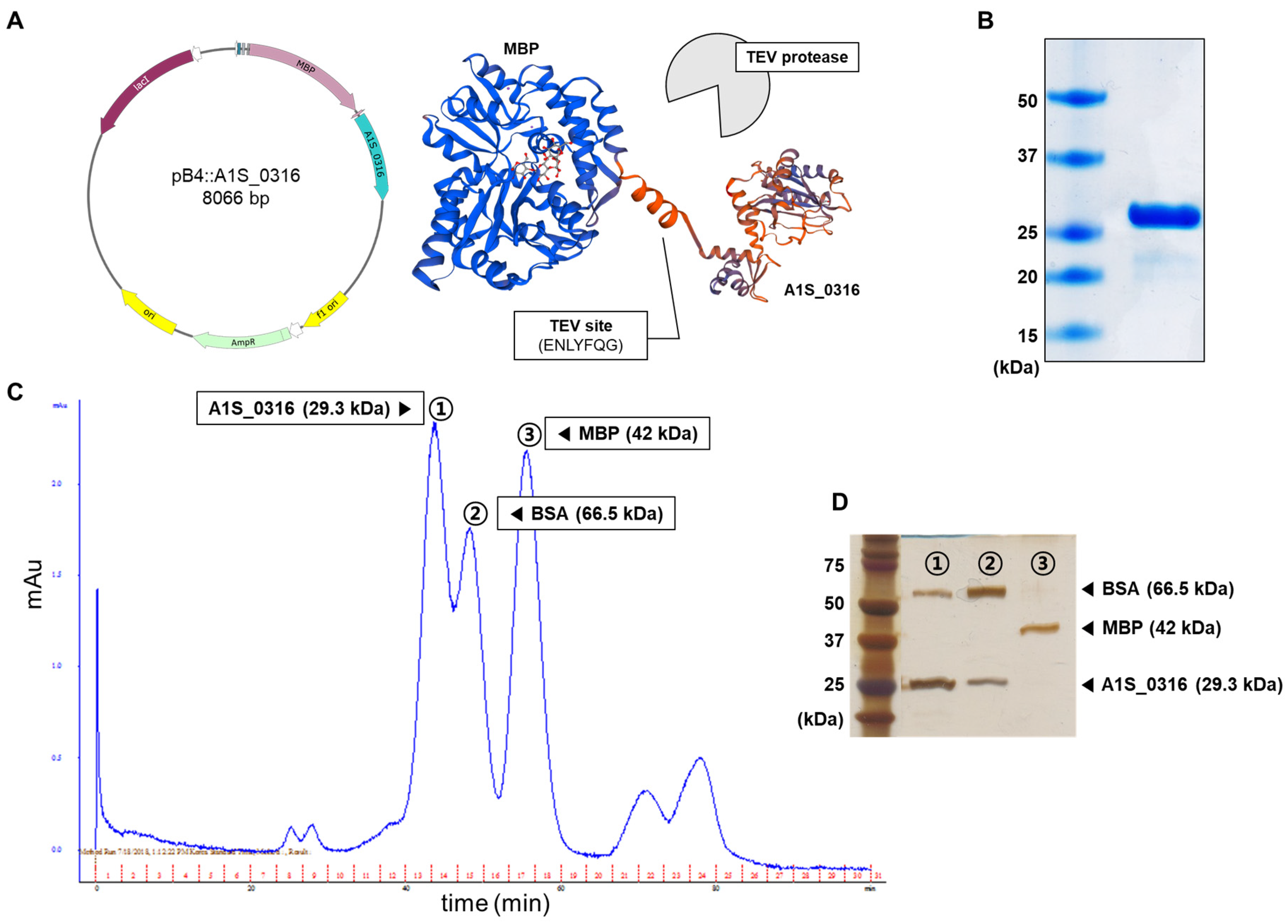 Microorganisms 08 00706 g003 Microorganisms 08 00706 g003
