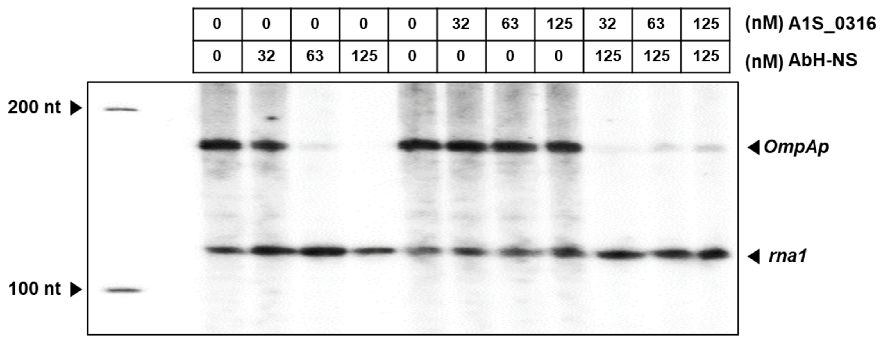 Microorganisms 08 00706 g008 Microorganisms 08 00706 g008