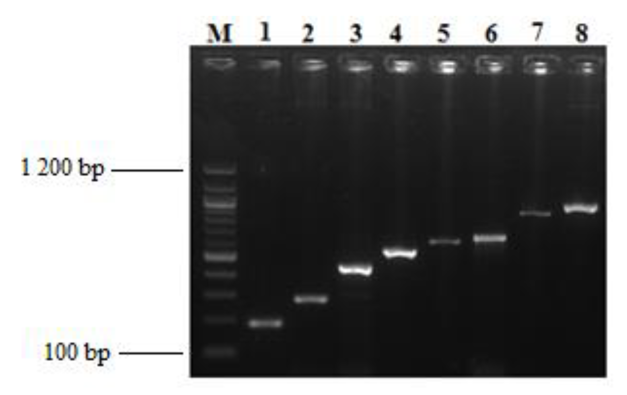 Microorganisms 08 00708 g008 Microorganisms 08 00708 g008