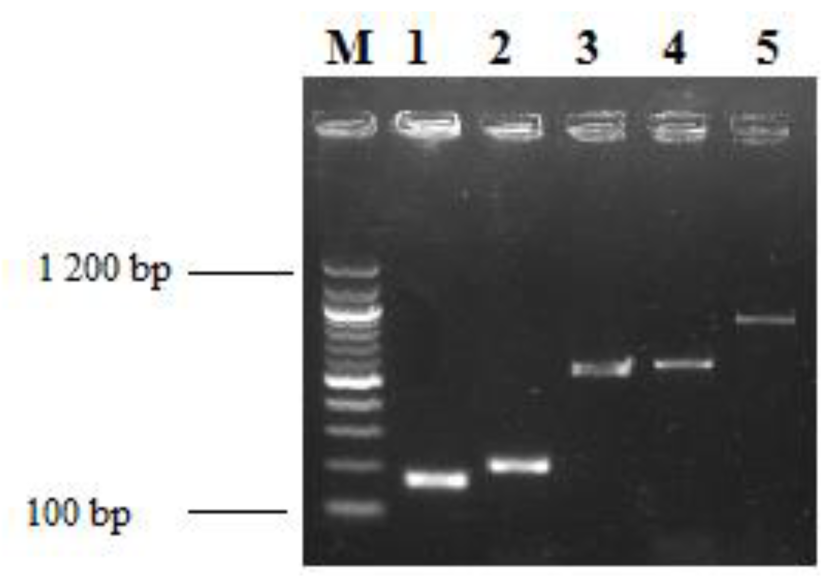 Microorganisms 08 00708 g009 Microorganisms 08 00708 g009