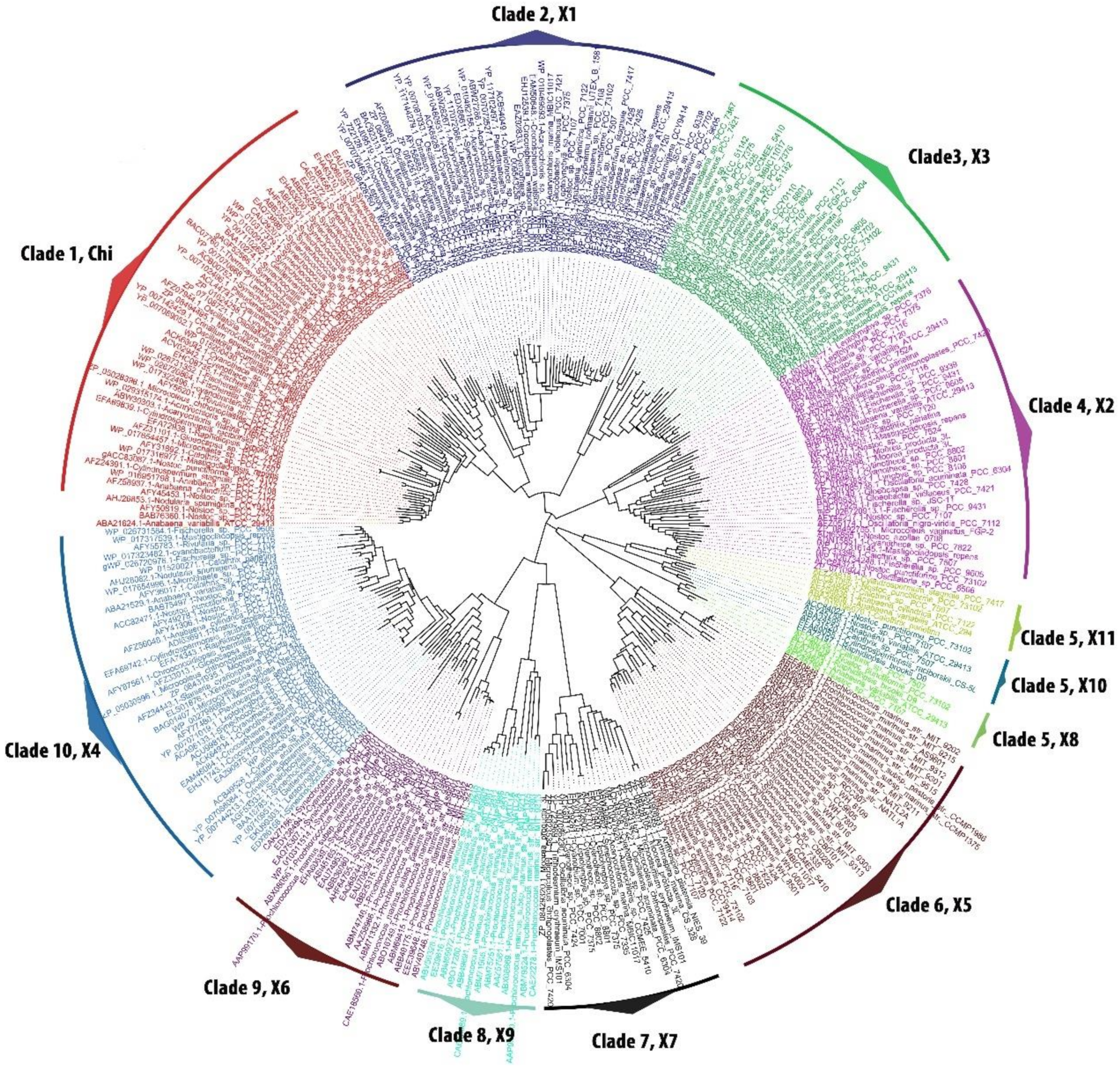 Microorganisms 08 00712 g001