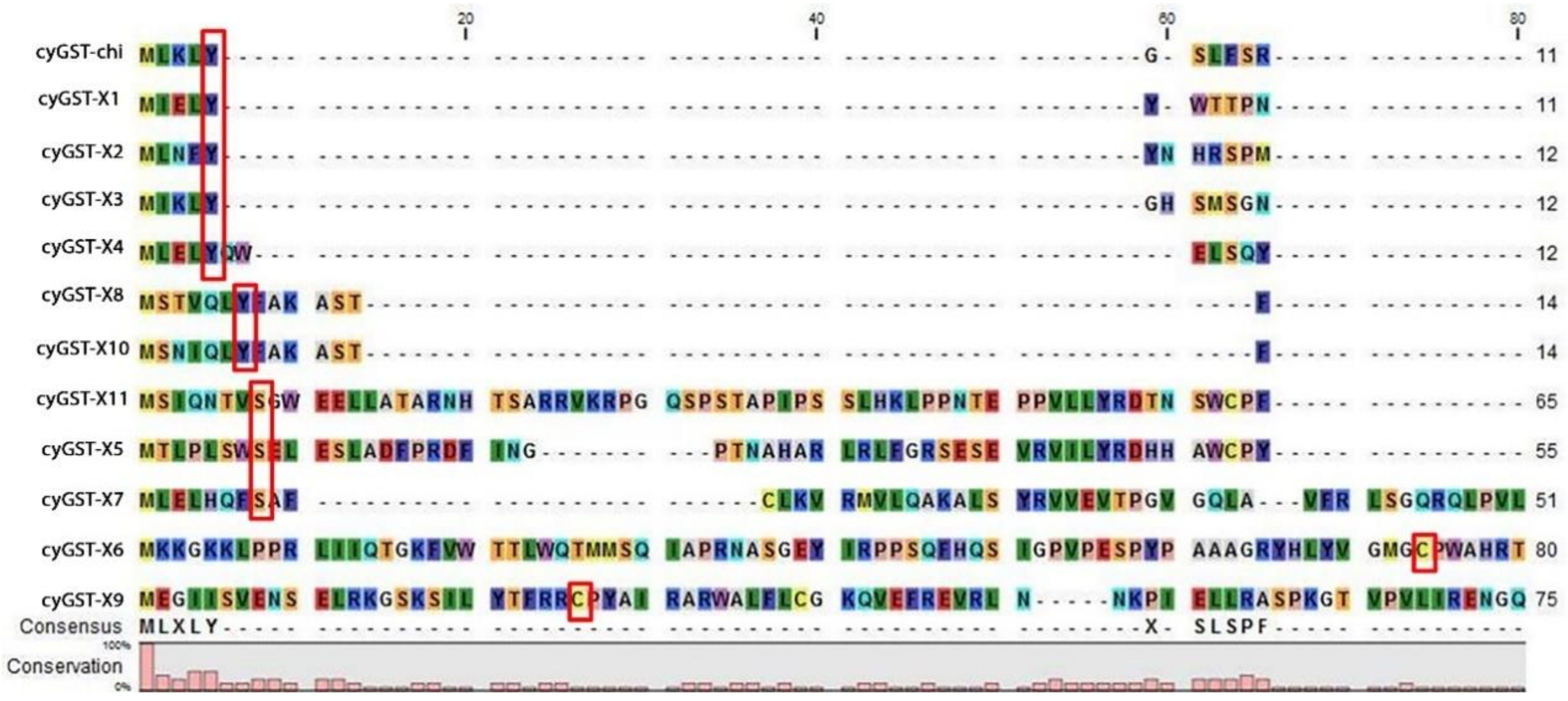 Microorganisms 08 00712 g003