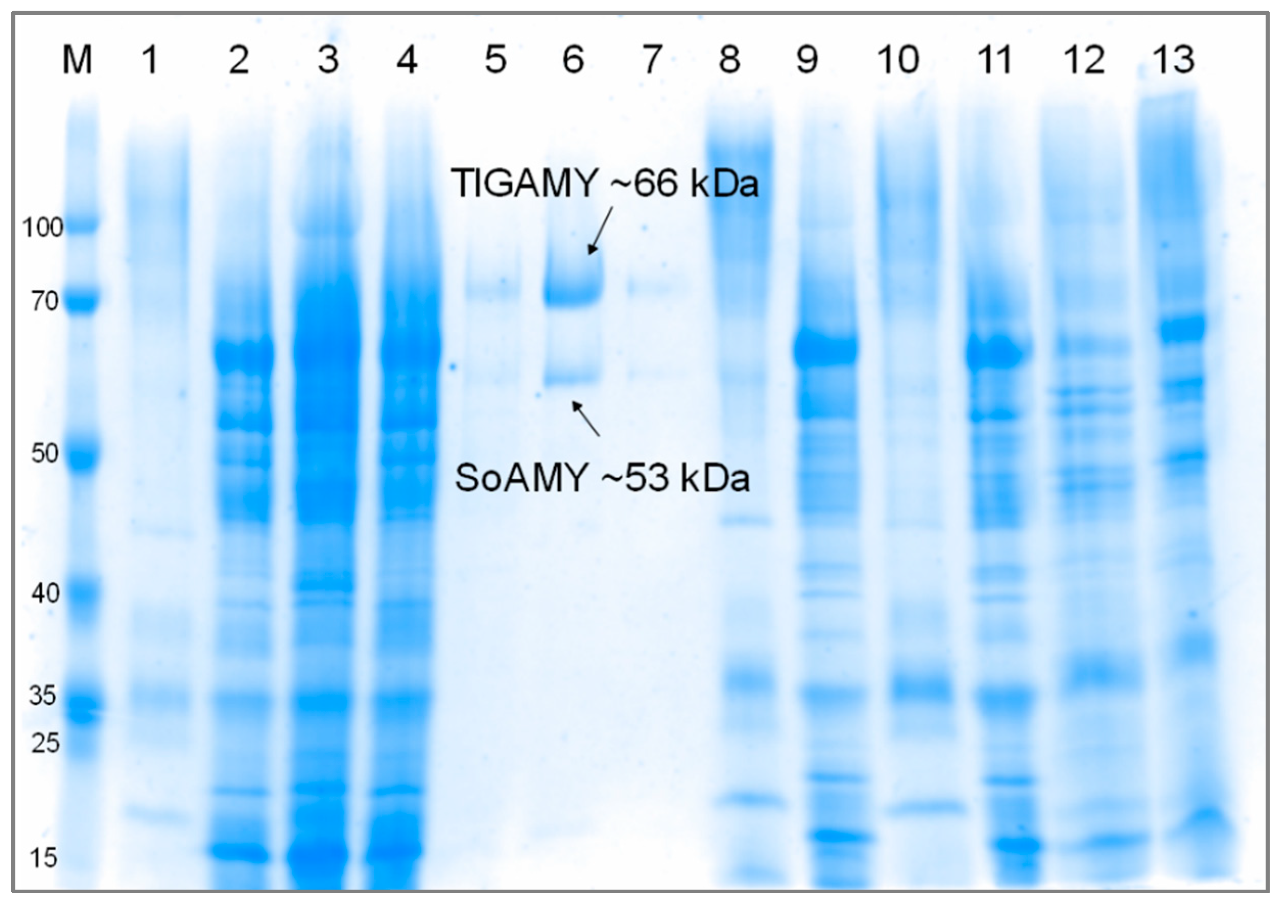 Microorganisms 08 00717 g002