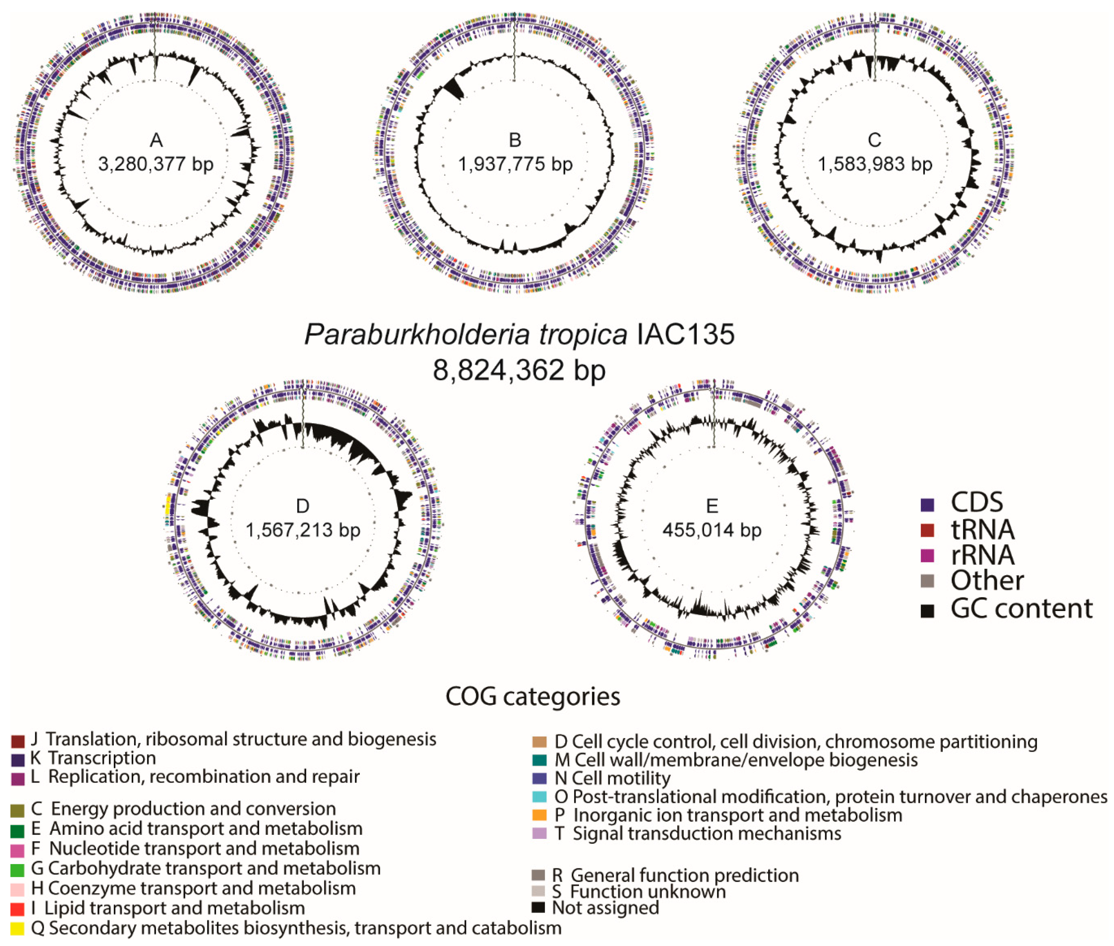 Microorganisms 08 00725 g003