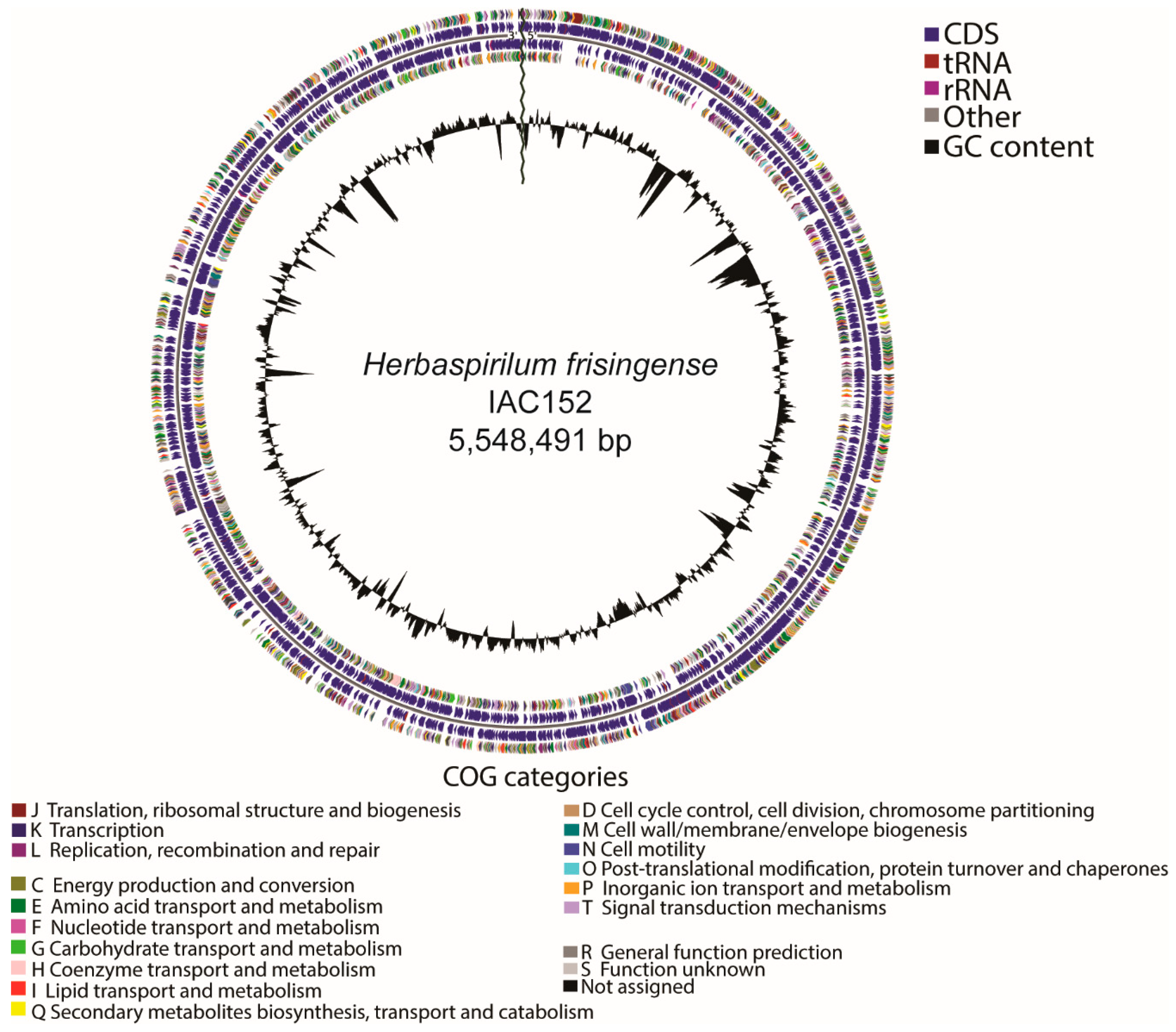 Microorganisms 08 00725 g004