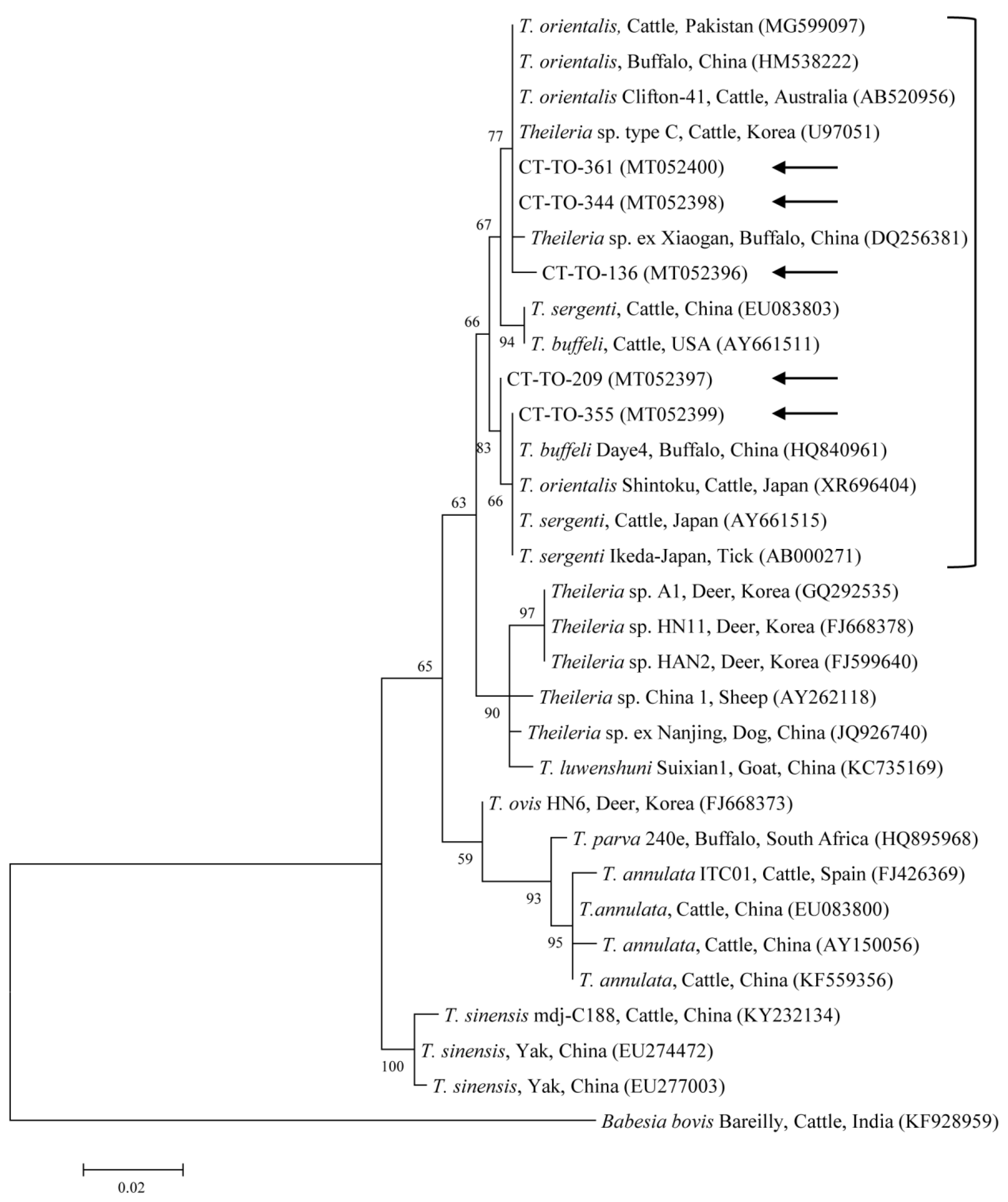 Microorganisms 08 00728 g002 Microorganisms 08 00728 g002