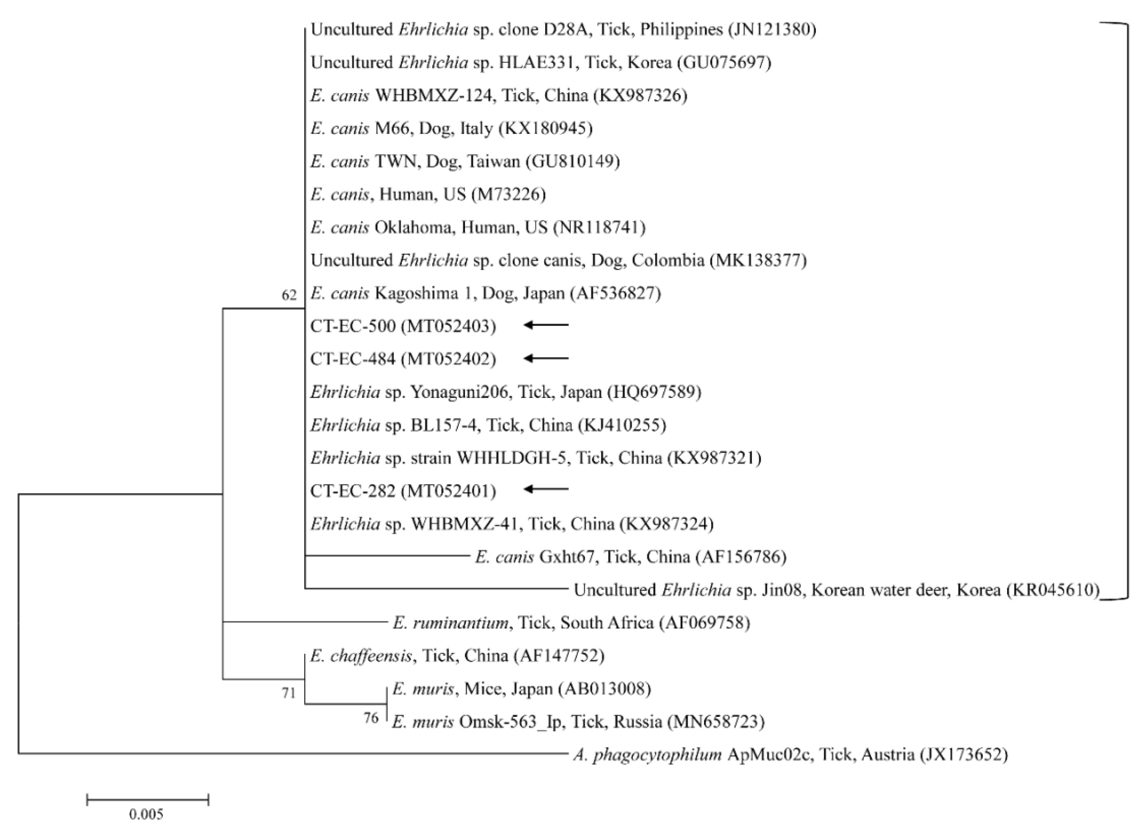 Microorganisms 08 00728 g005 Microorganisms 08 00728 g005