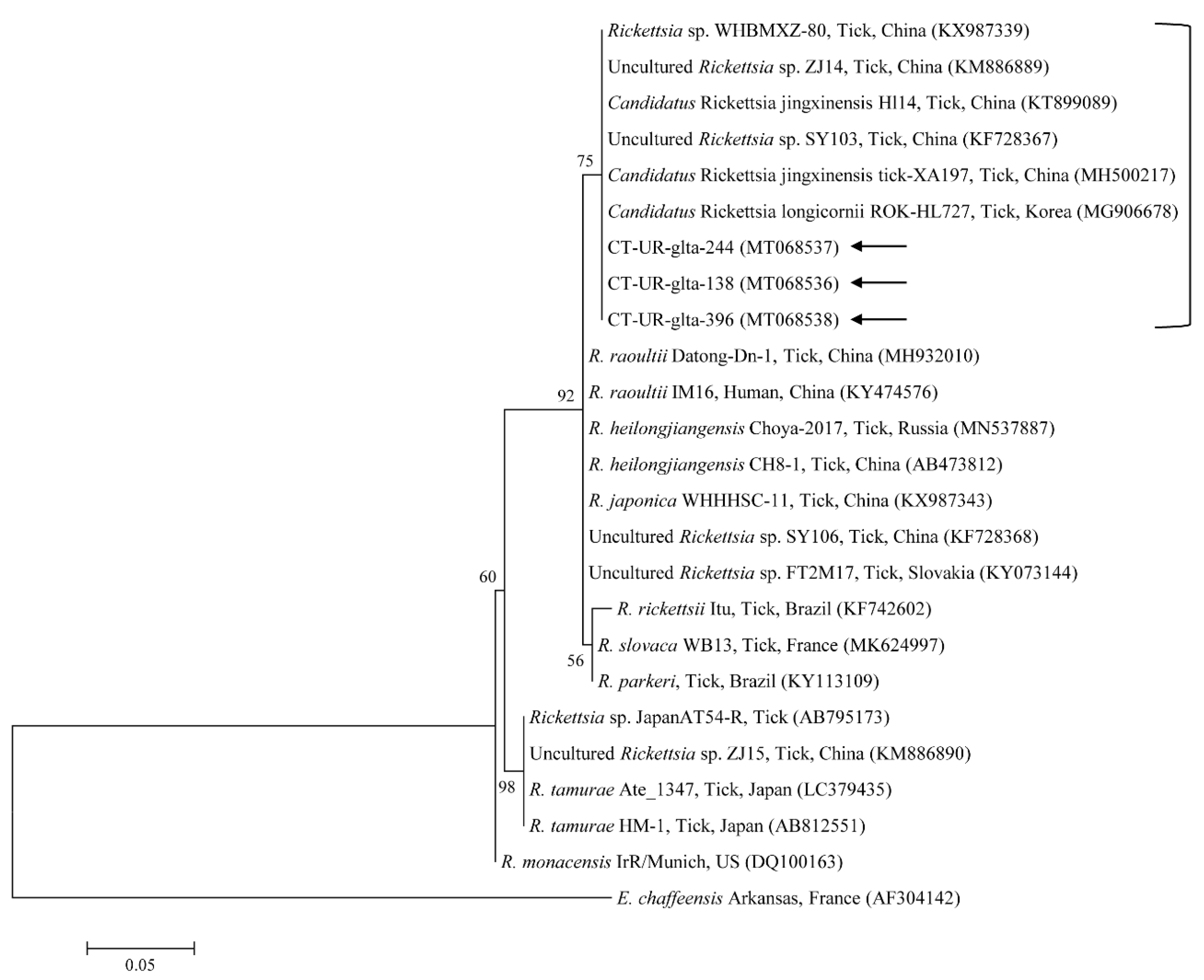 Microorganisms 08 00728 g007 Microorganisms 08 00728 g007