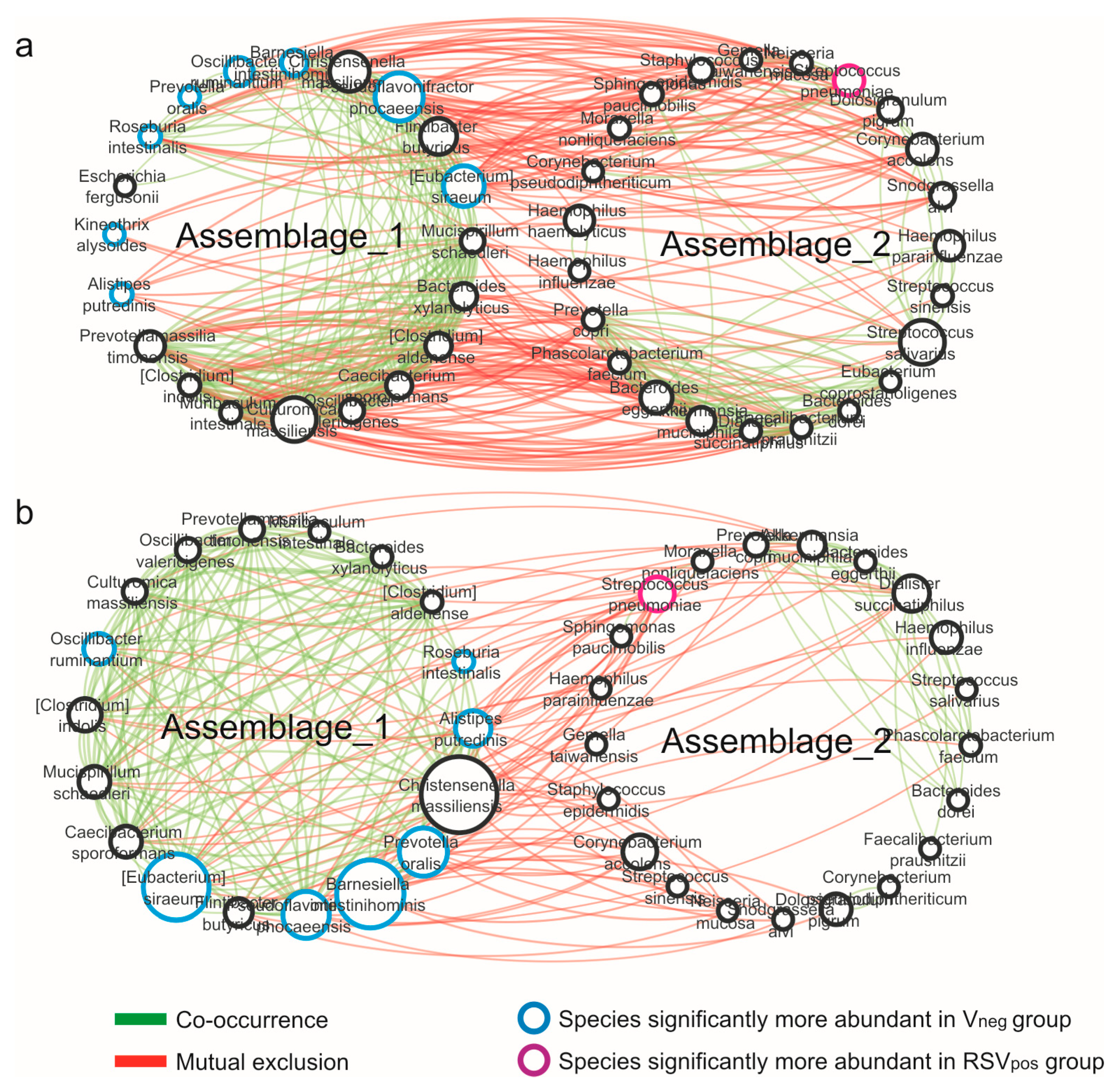 Microorganisms 08 00731 g004