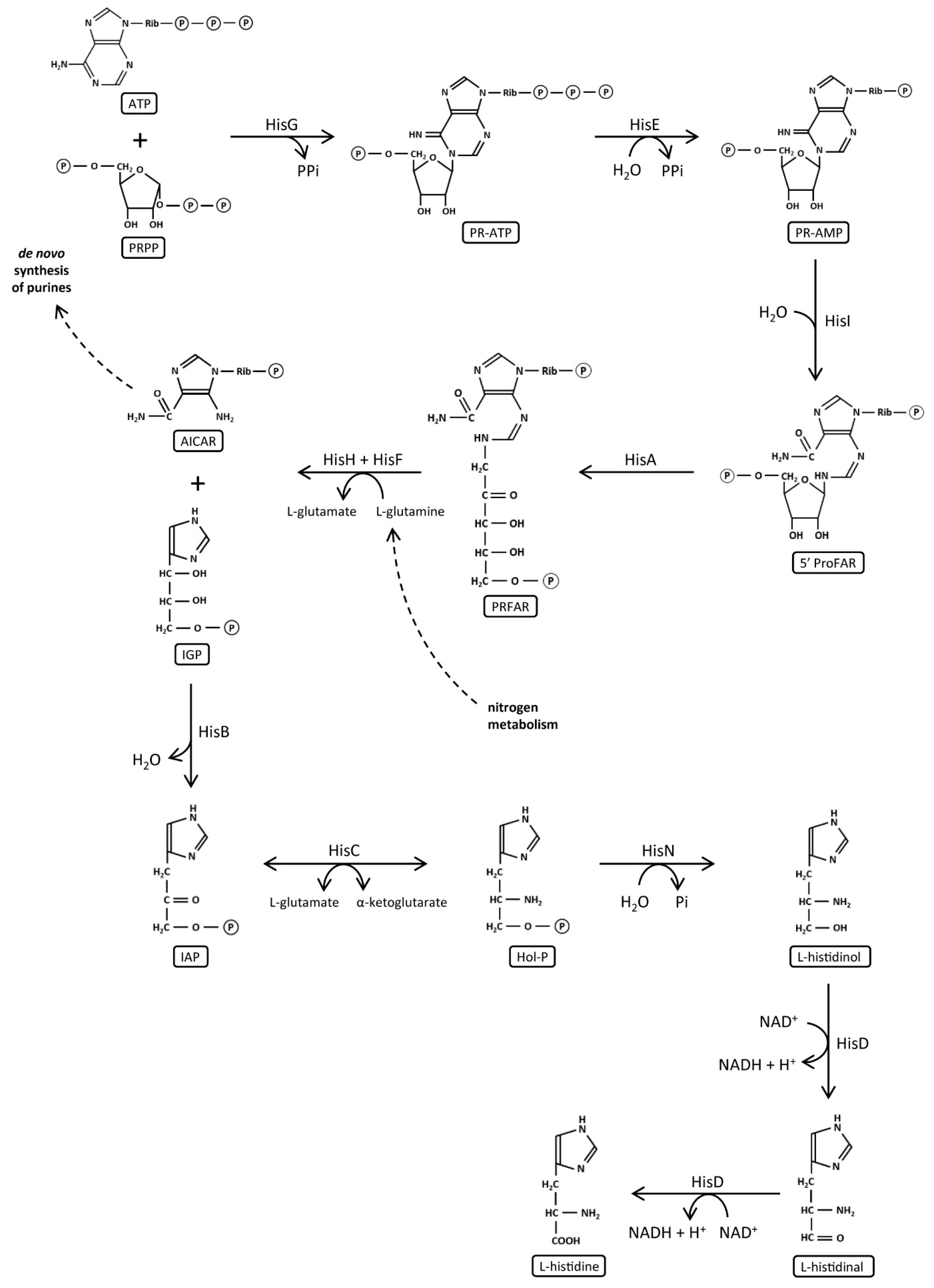 Microorganisms 08 00732 g002