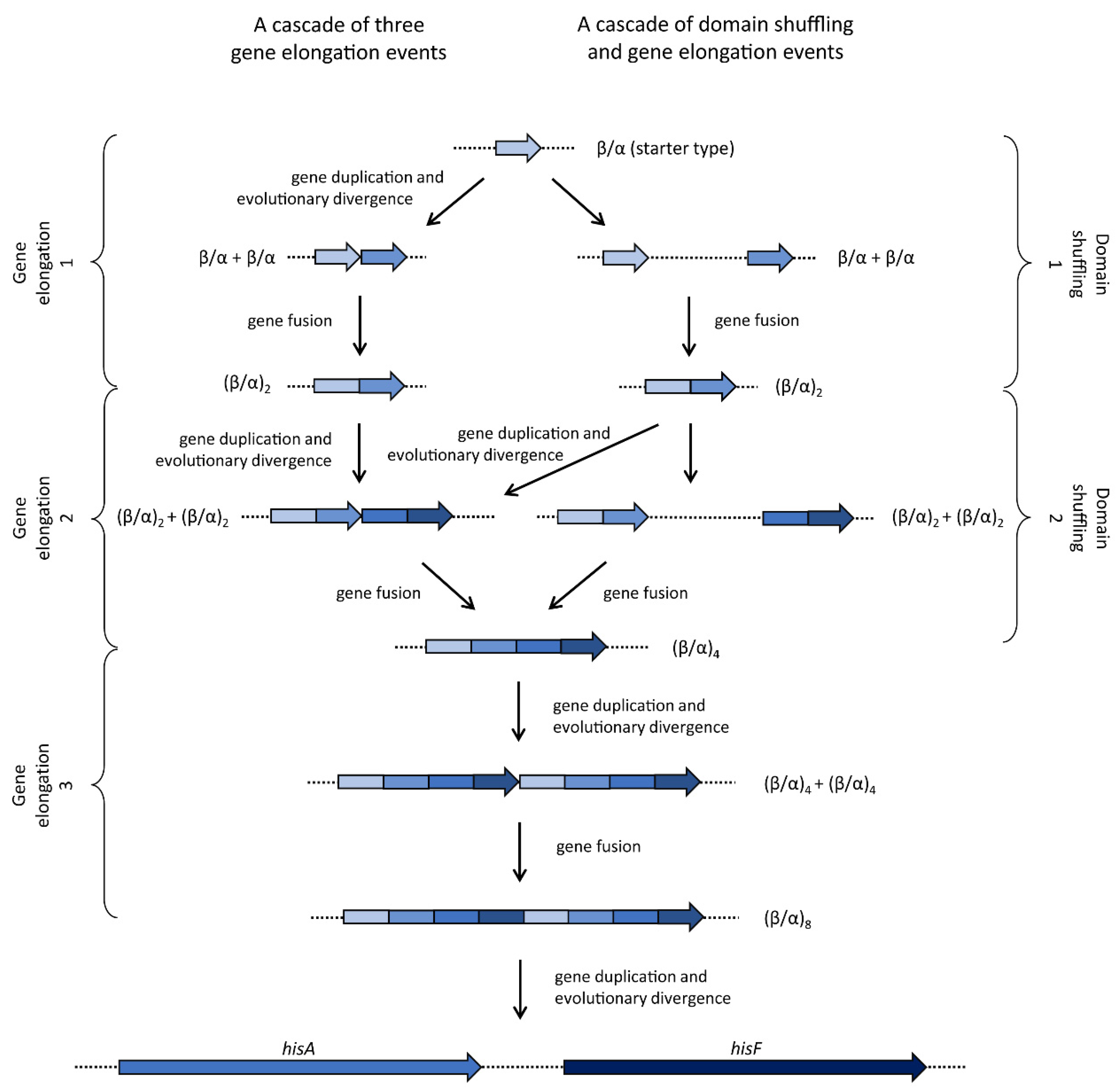 Microorganisms 08 00732 g005