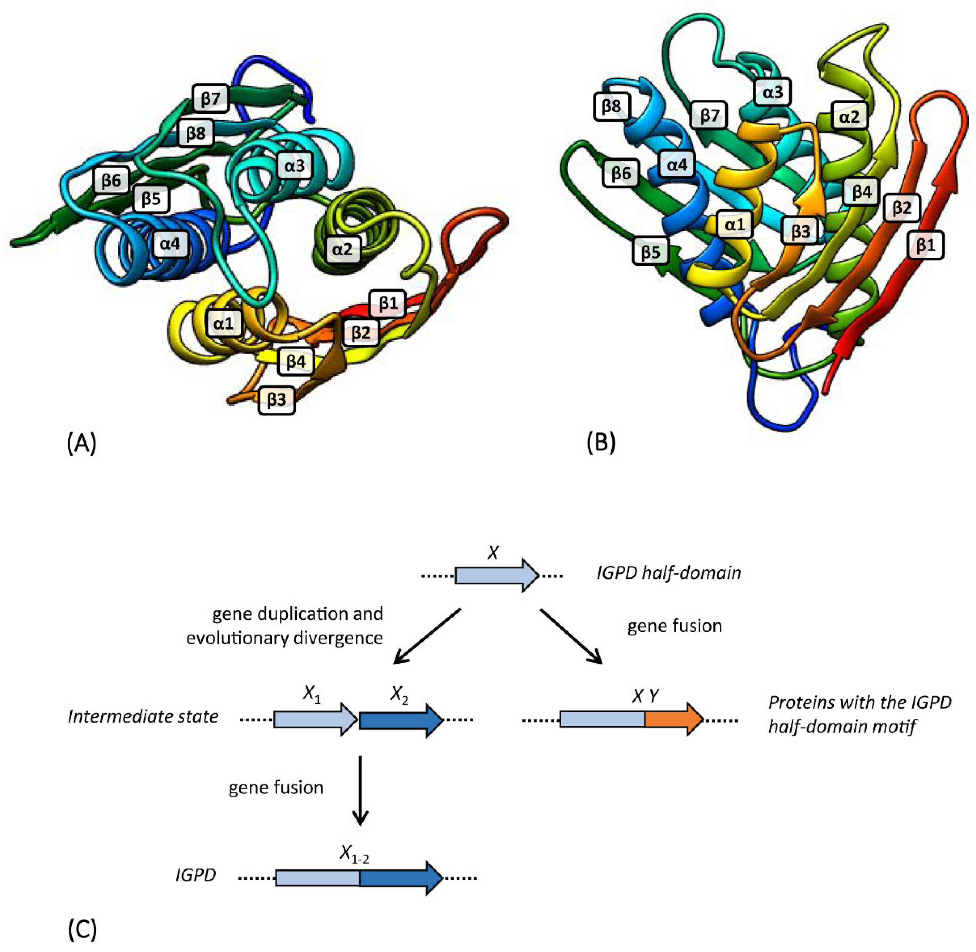 Microorganisms 08 00732 g007