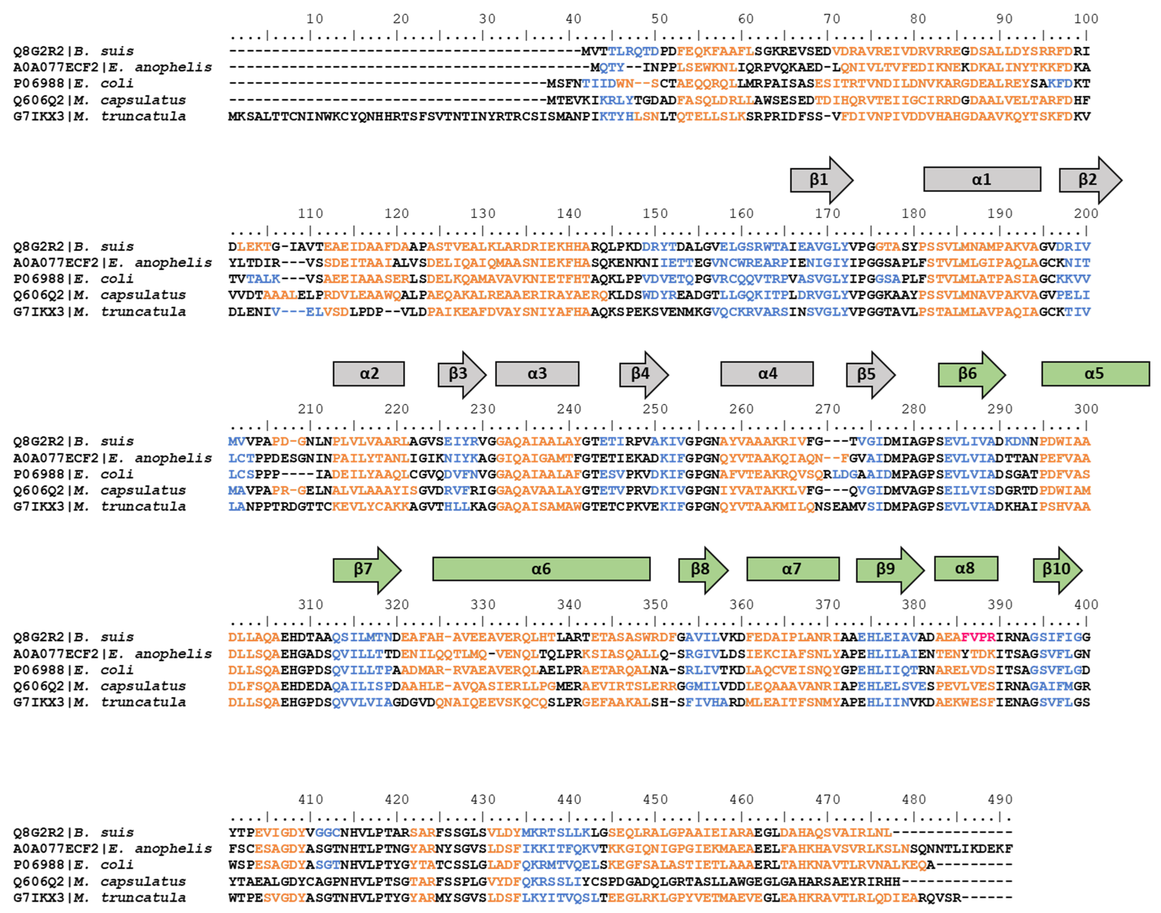 Microorganisms 08 00732 g010