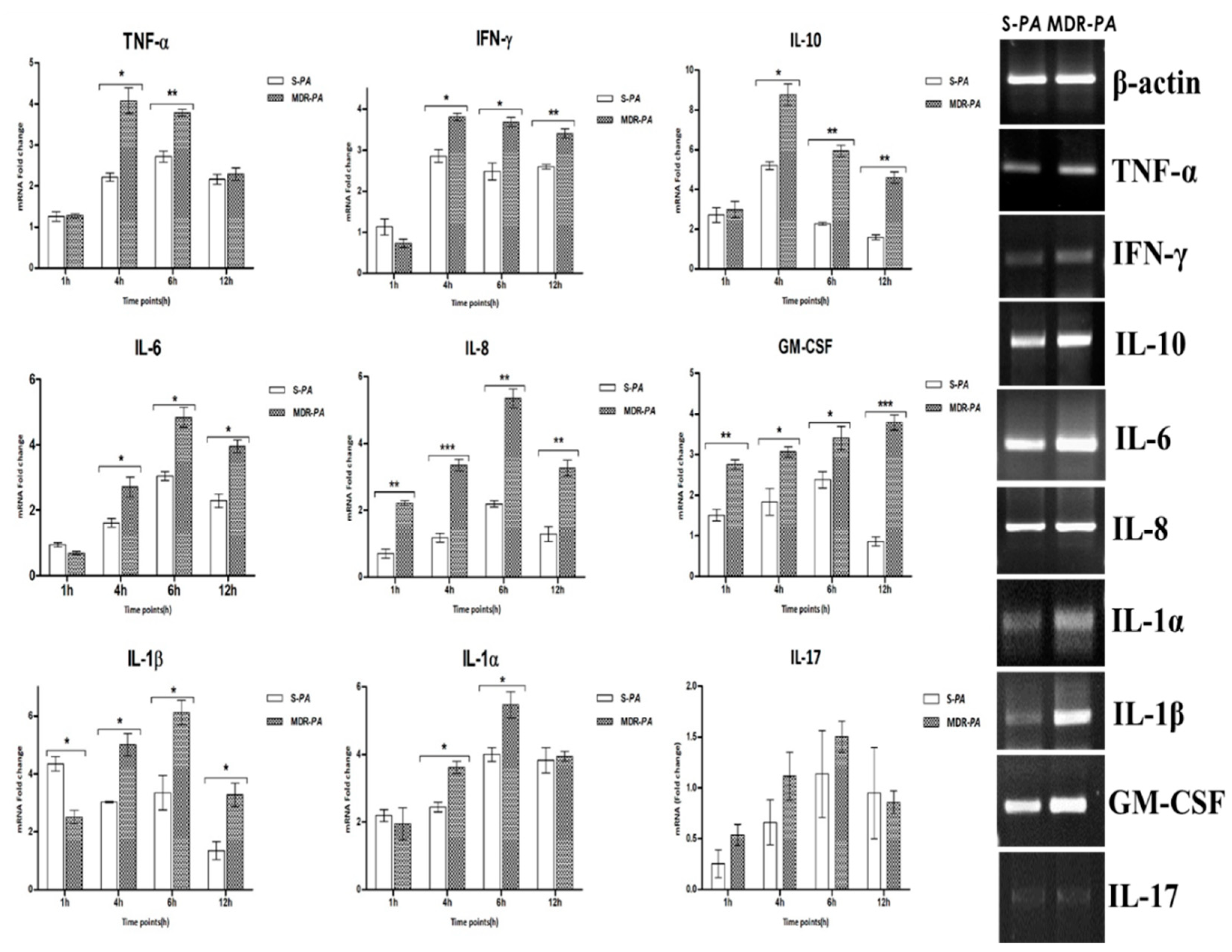 Microorganisms 08 00735 g003 Microorganisms 08 00735 g003